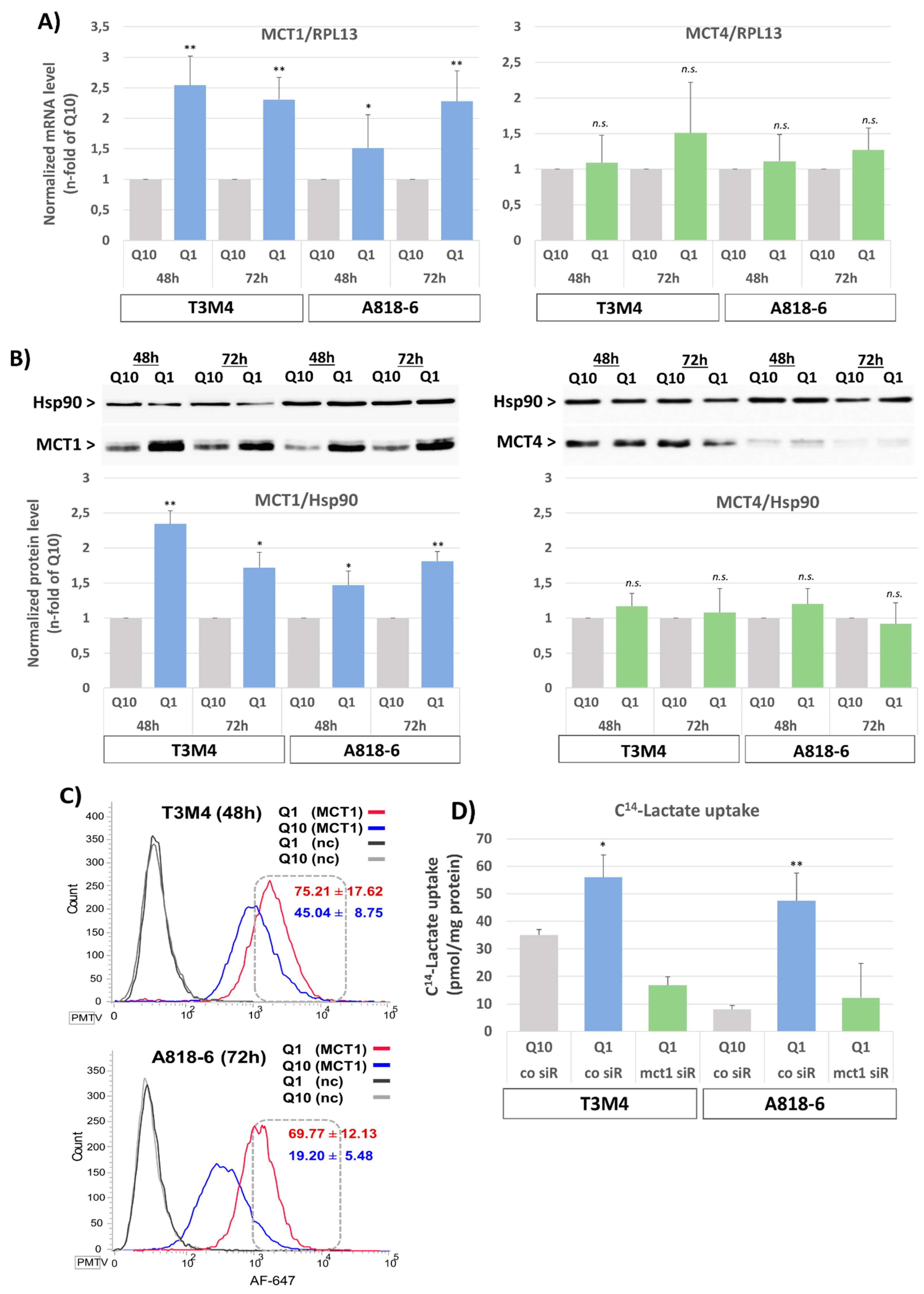 Antioxidants 12 01818 g001