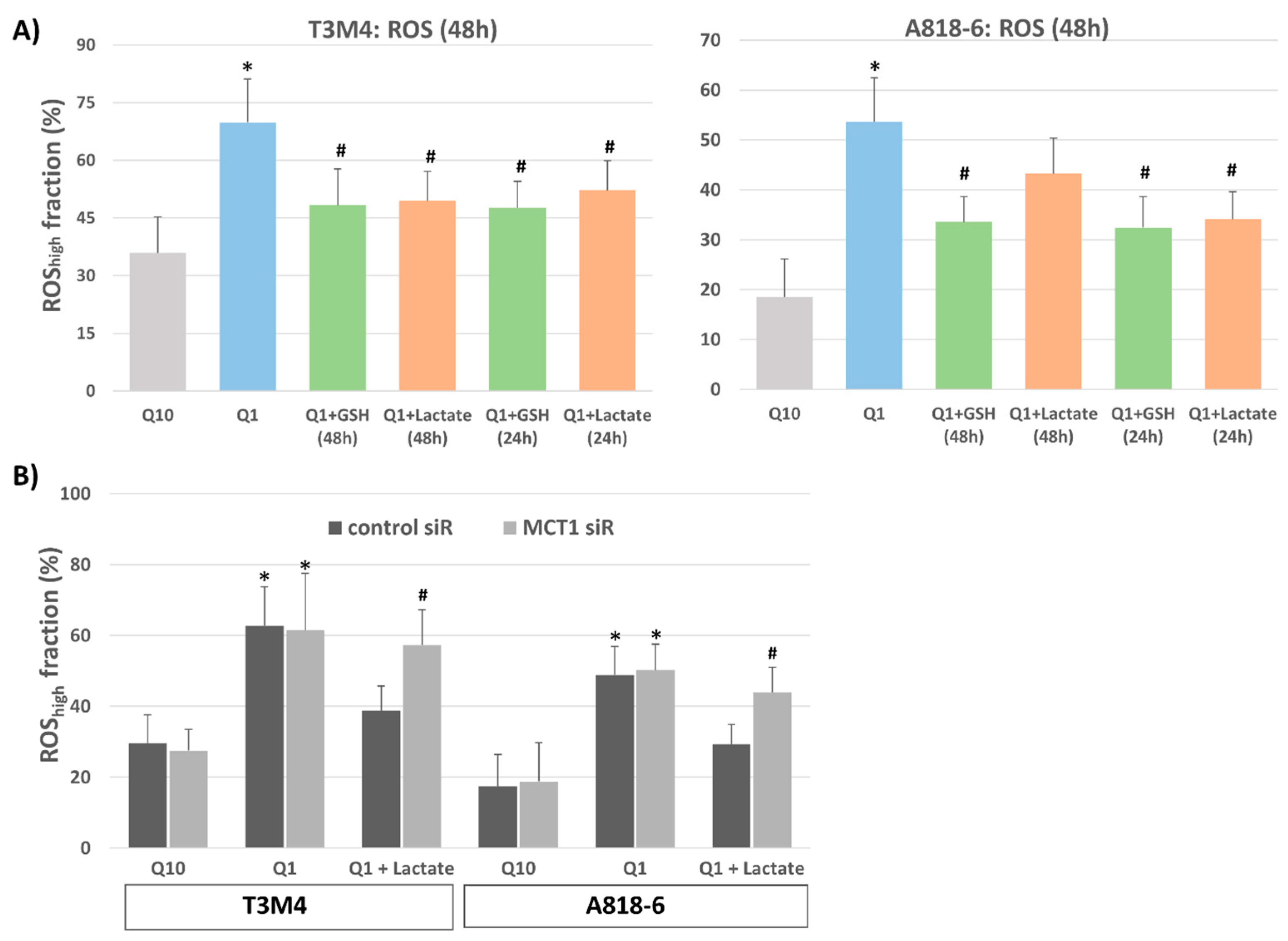 Antioxidants 12 01818 g004