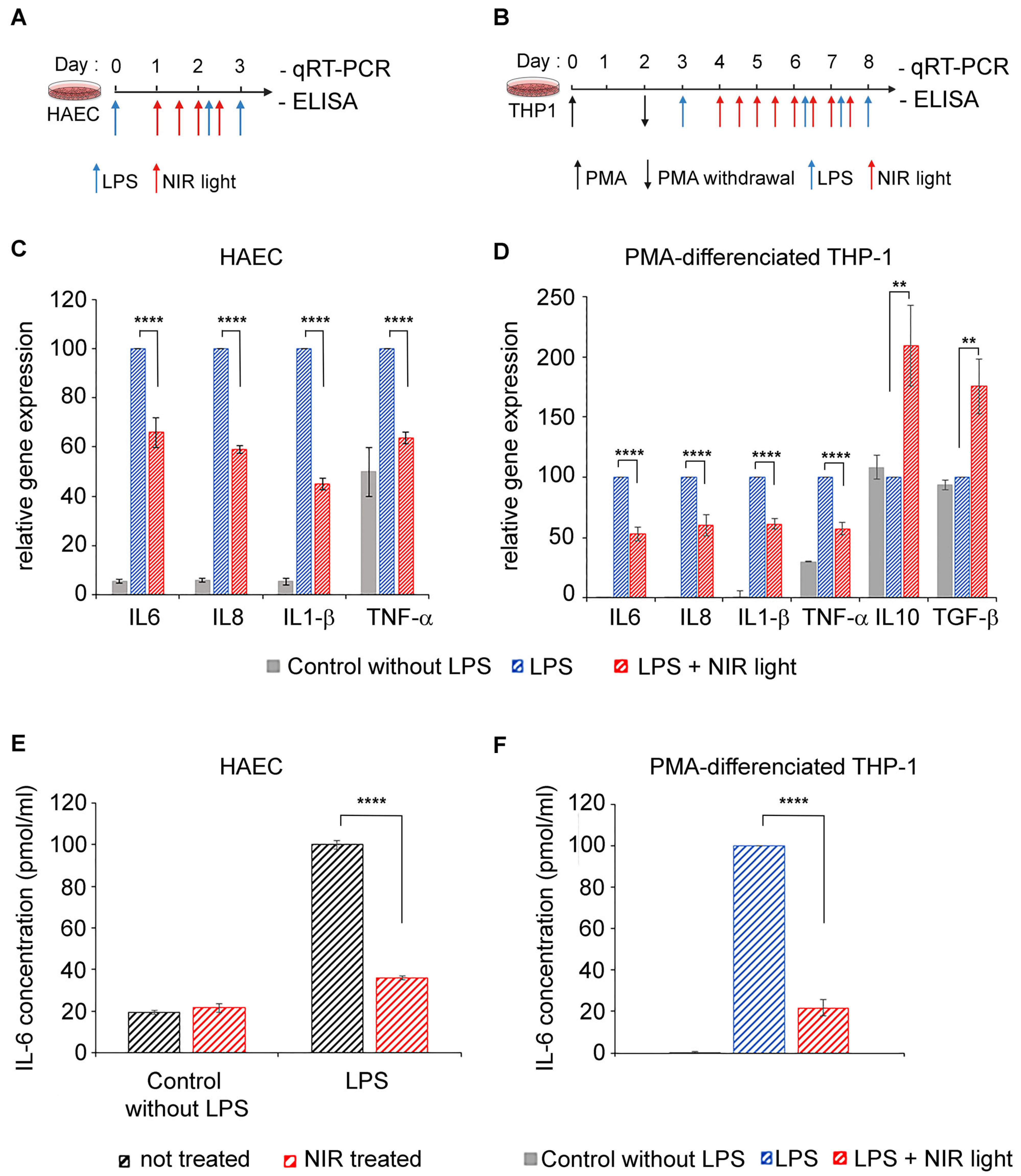Antioxidants 12 01824 g001