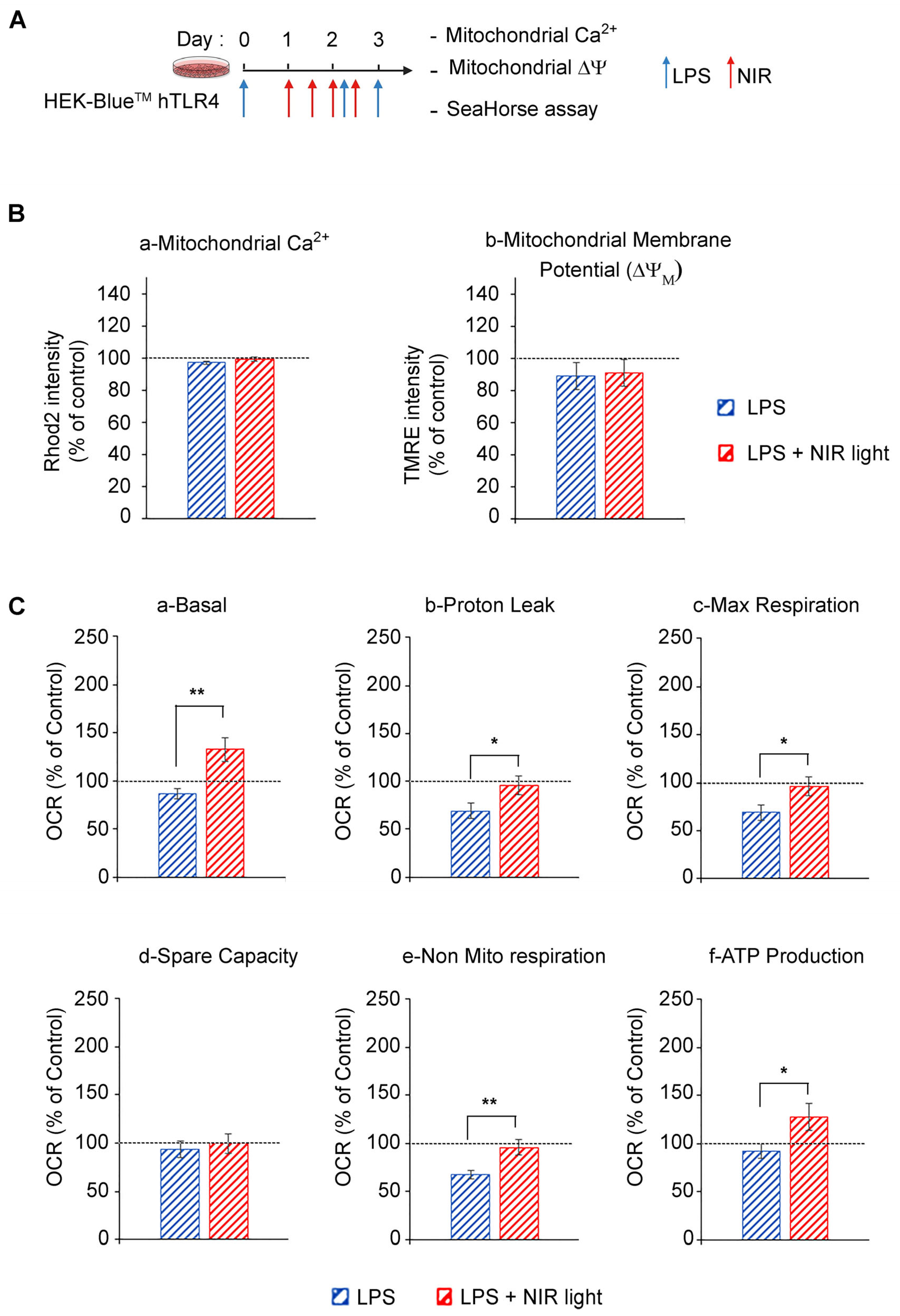 Antioxidants 12 01824 g003