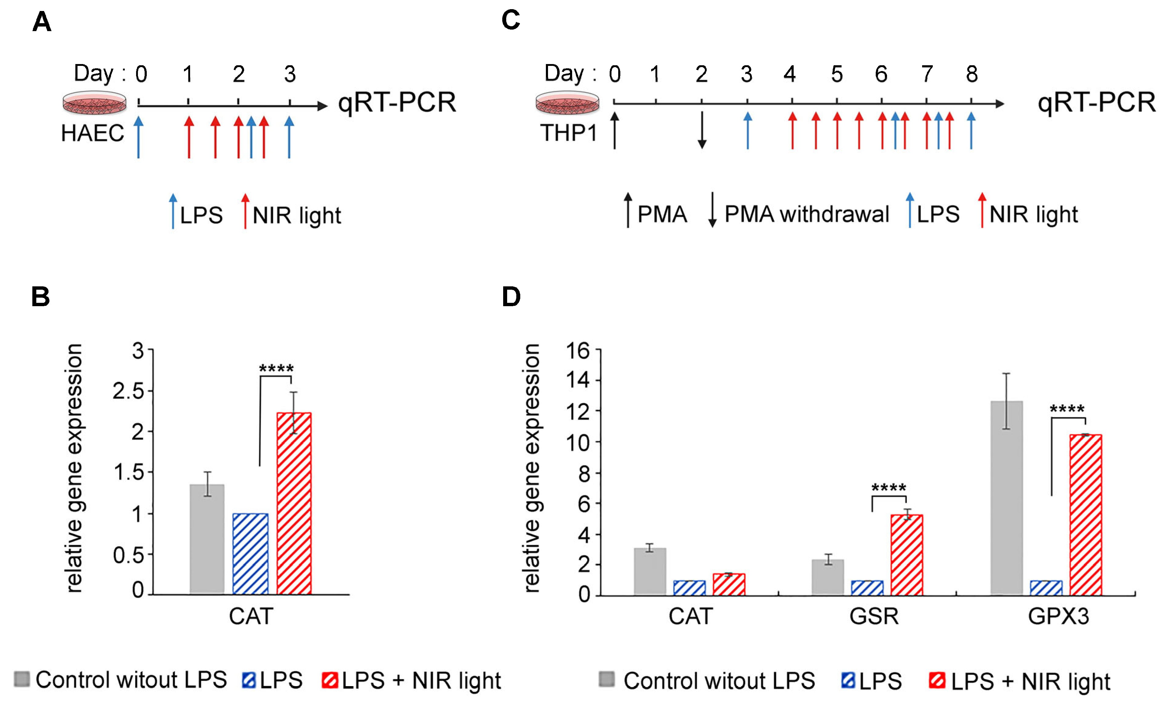 Antioxidants 12 01824 g006