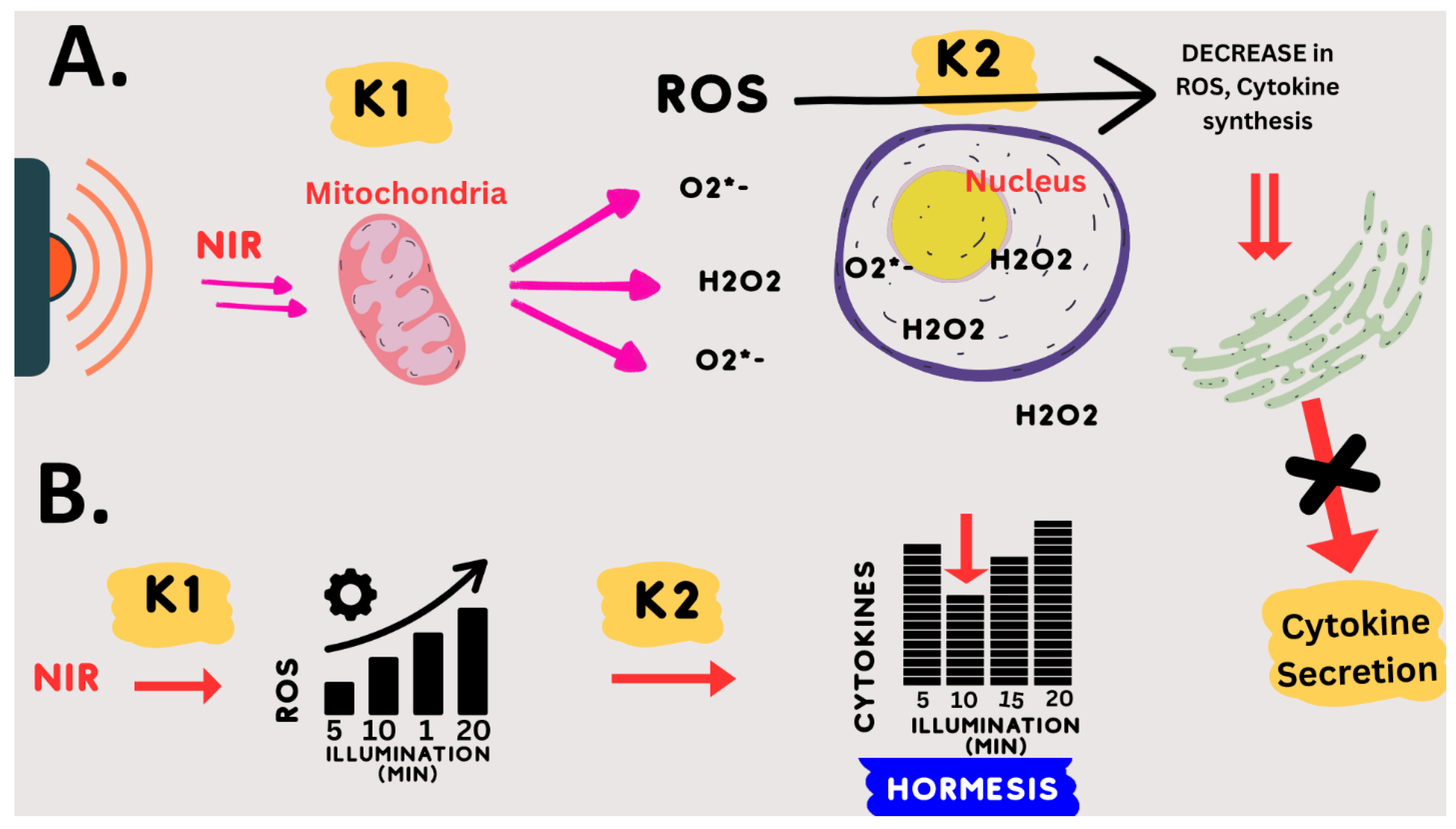 Antioxidants 12 01824 g008
