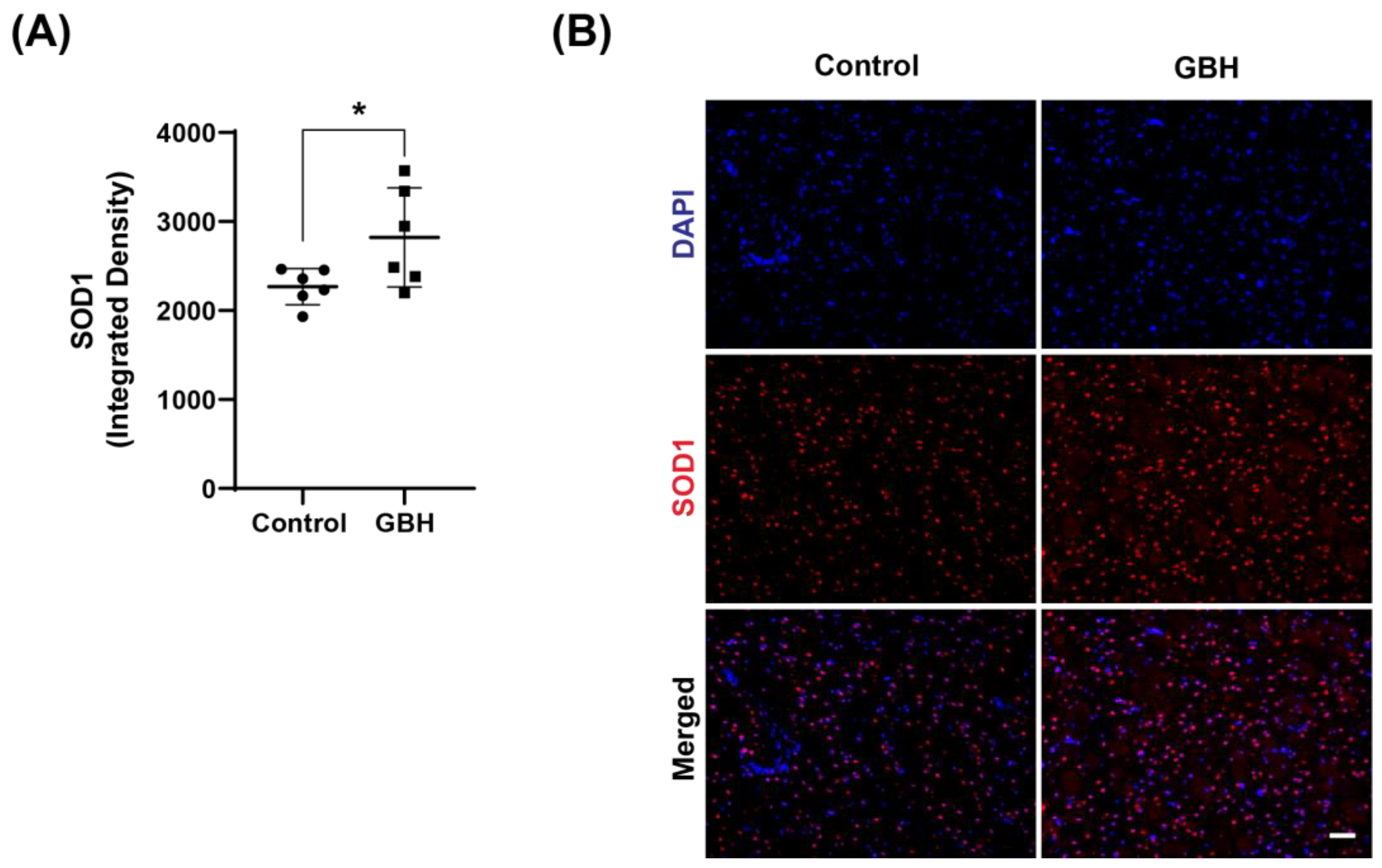 Antioxidants 12 01825 g003