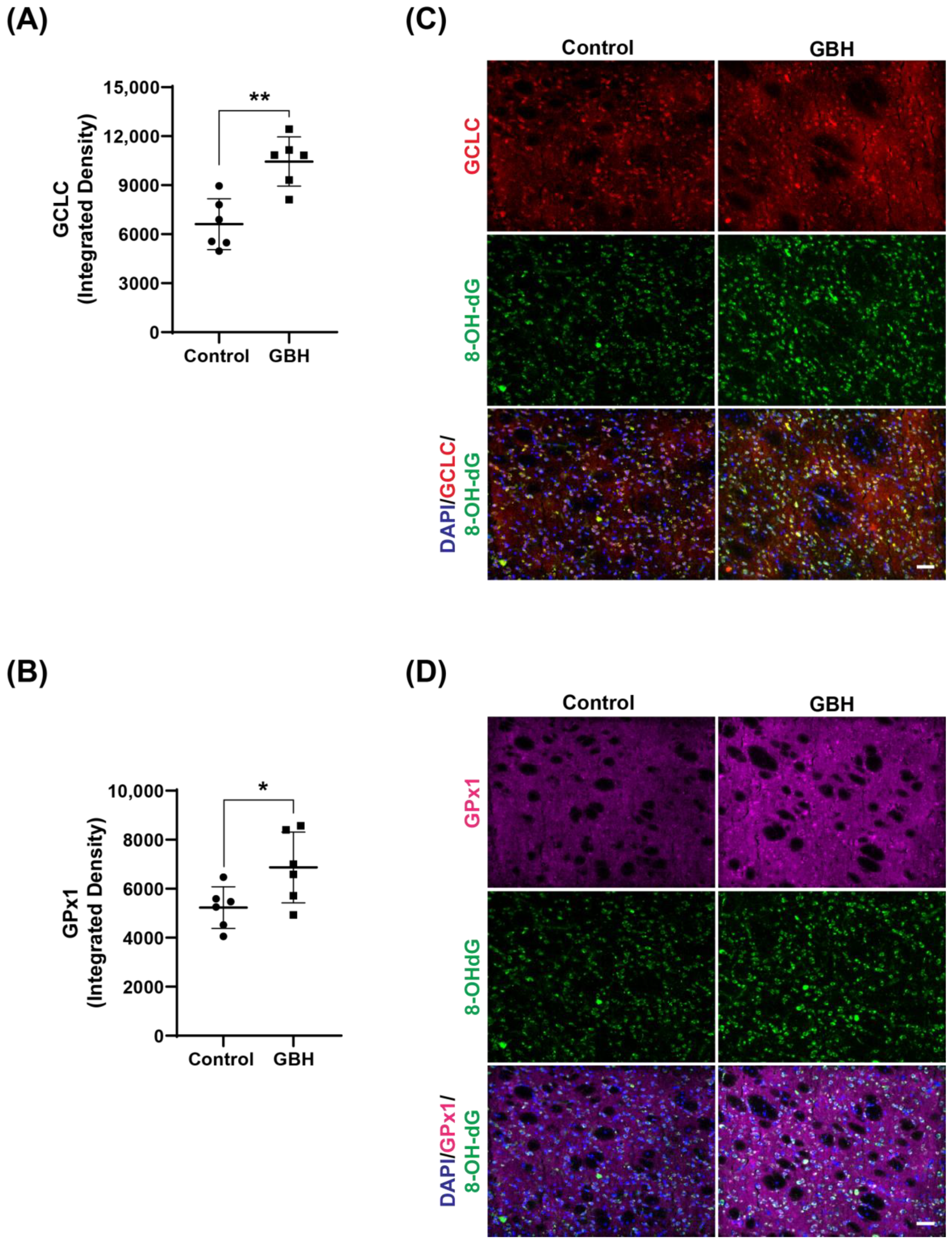 Antioxidants 12 01825 g004