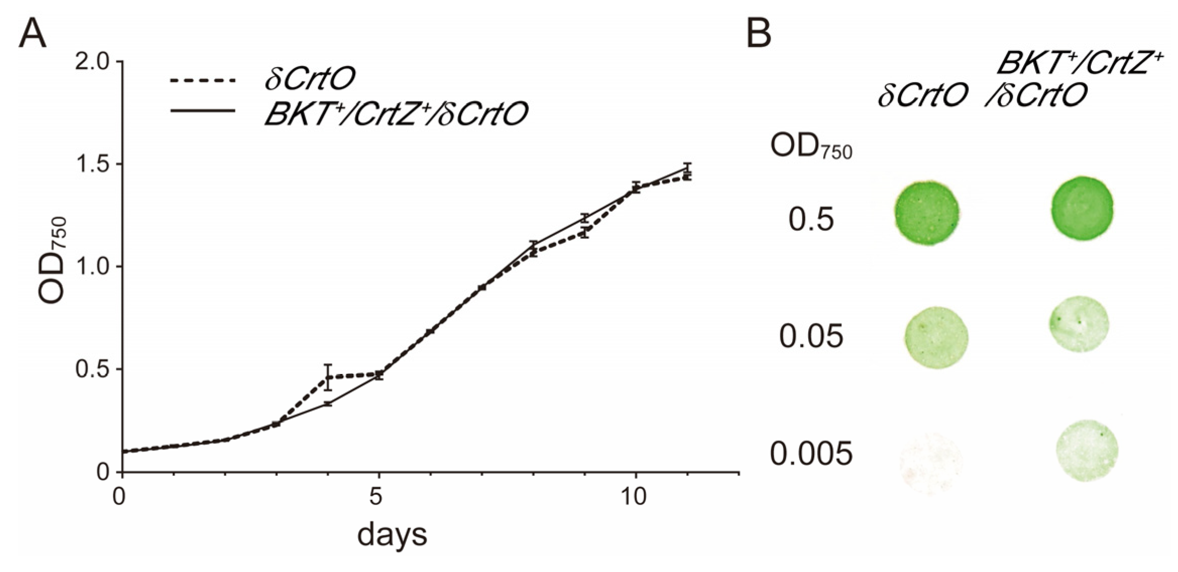 Antioxidants 12 01826 g005 Antioxidants 12 01826 g005