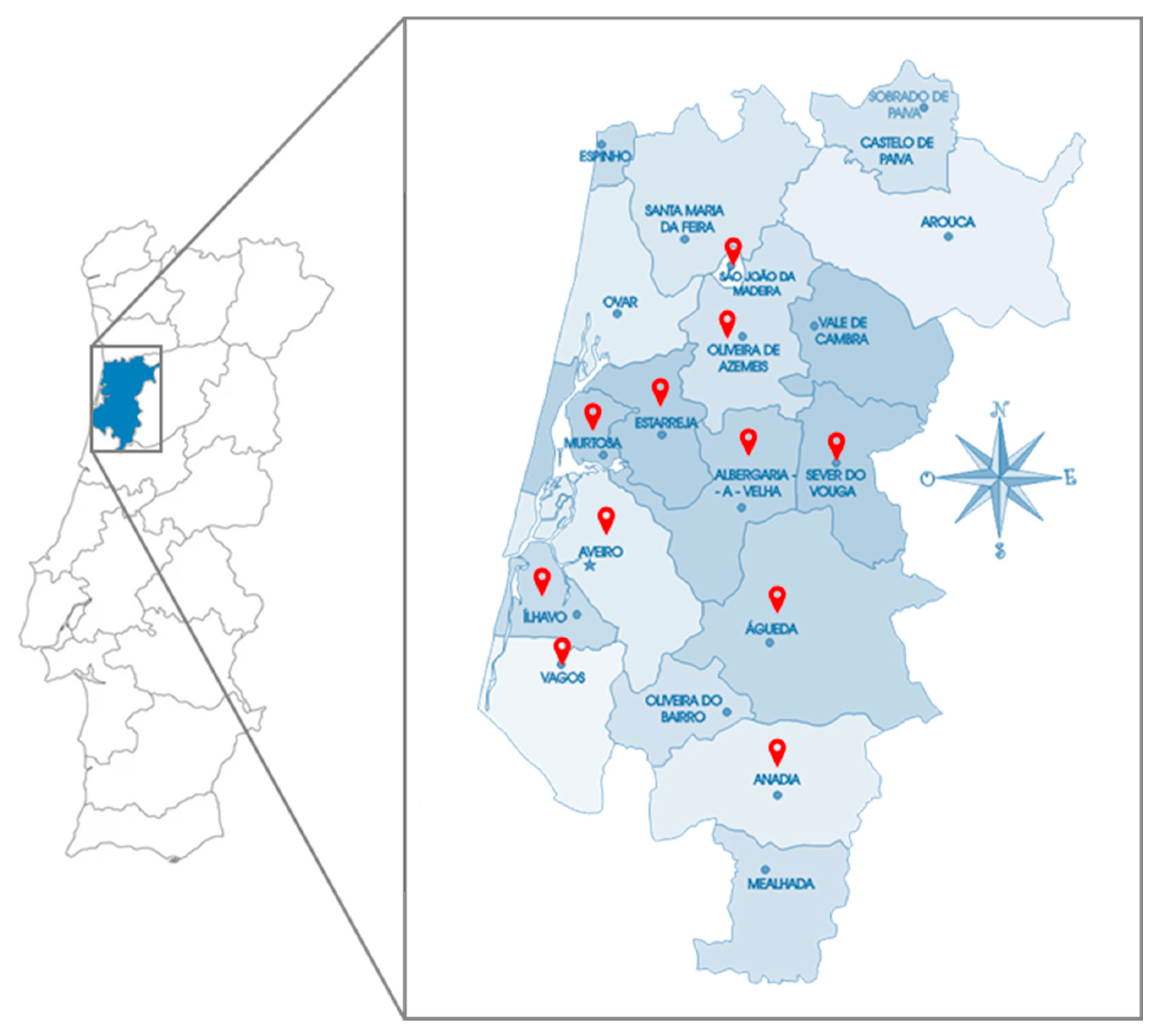 Antioxidants 12 01828 g001