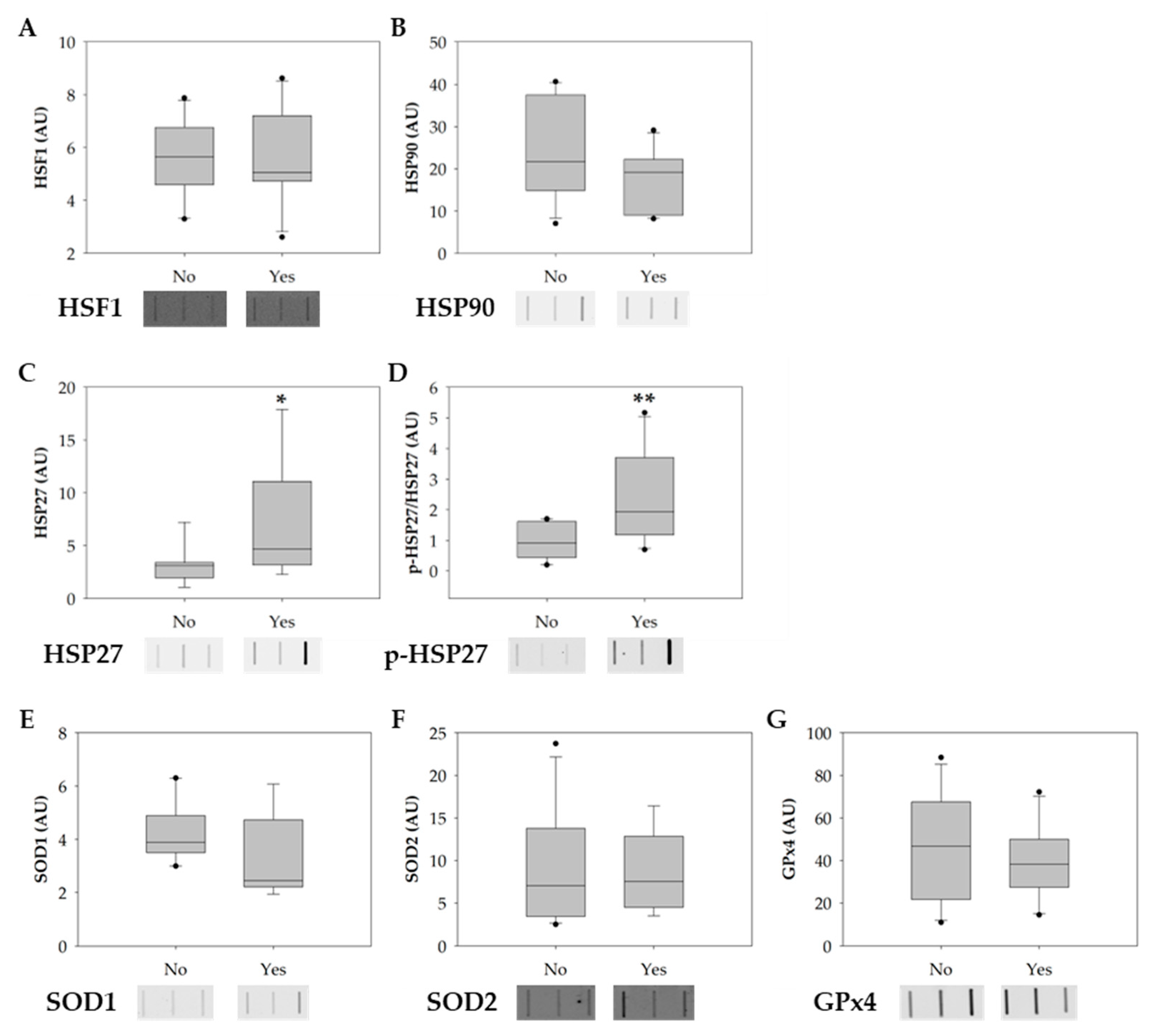Antioxidants 12 01828 g004