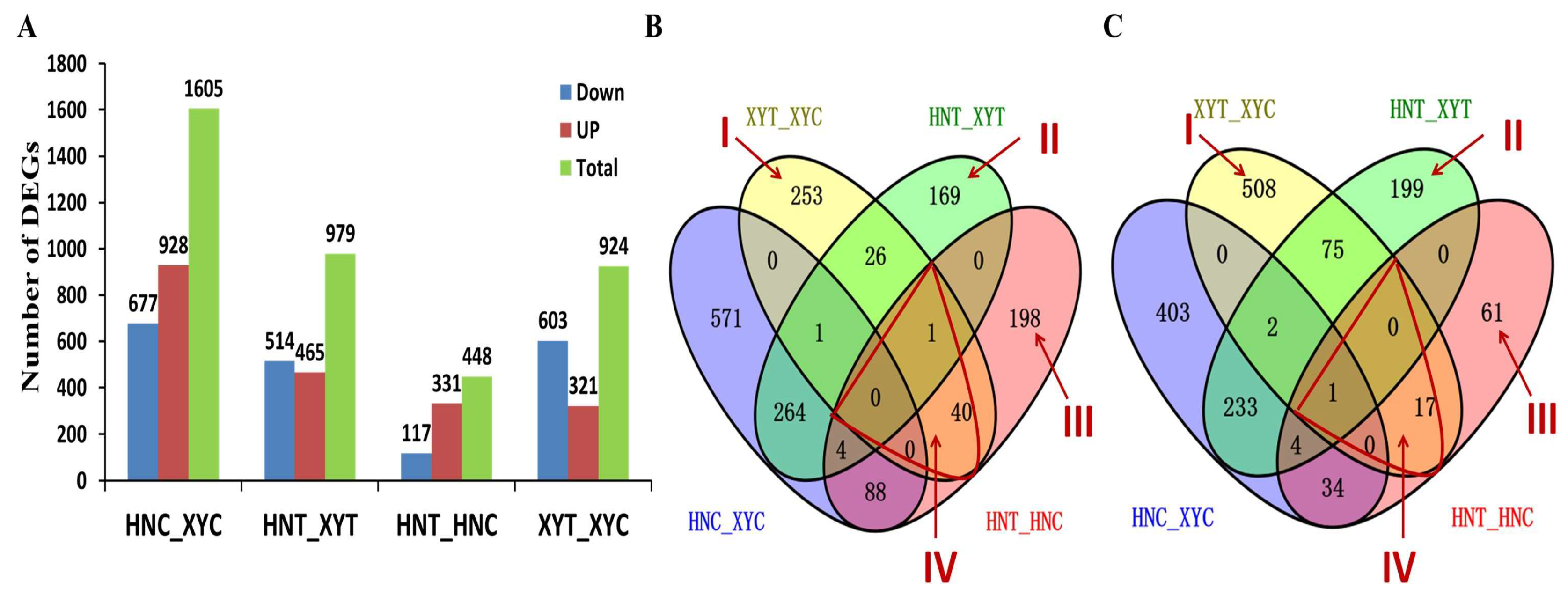 Antioxidants Free FullText Integrated Transcriptomic and Proteomic