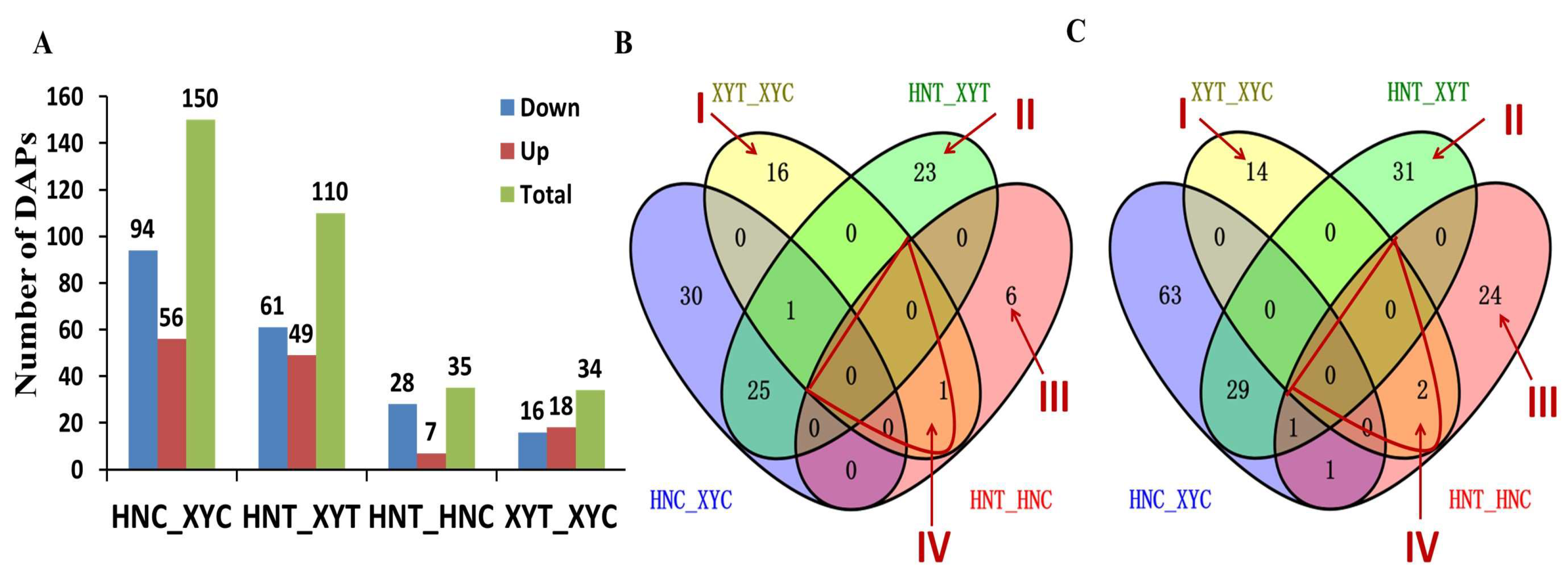 Antioxidants 12 01831 g002 Antioxidants 12 01831 g002