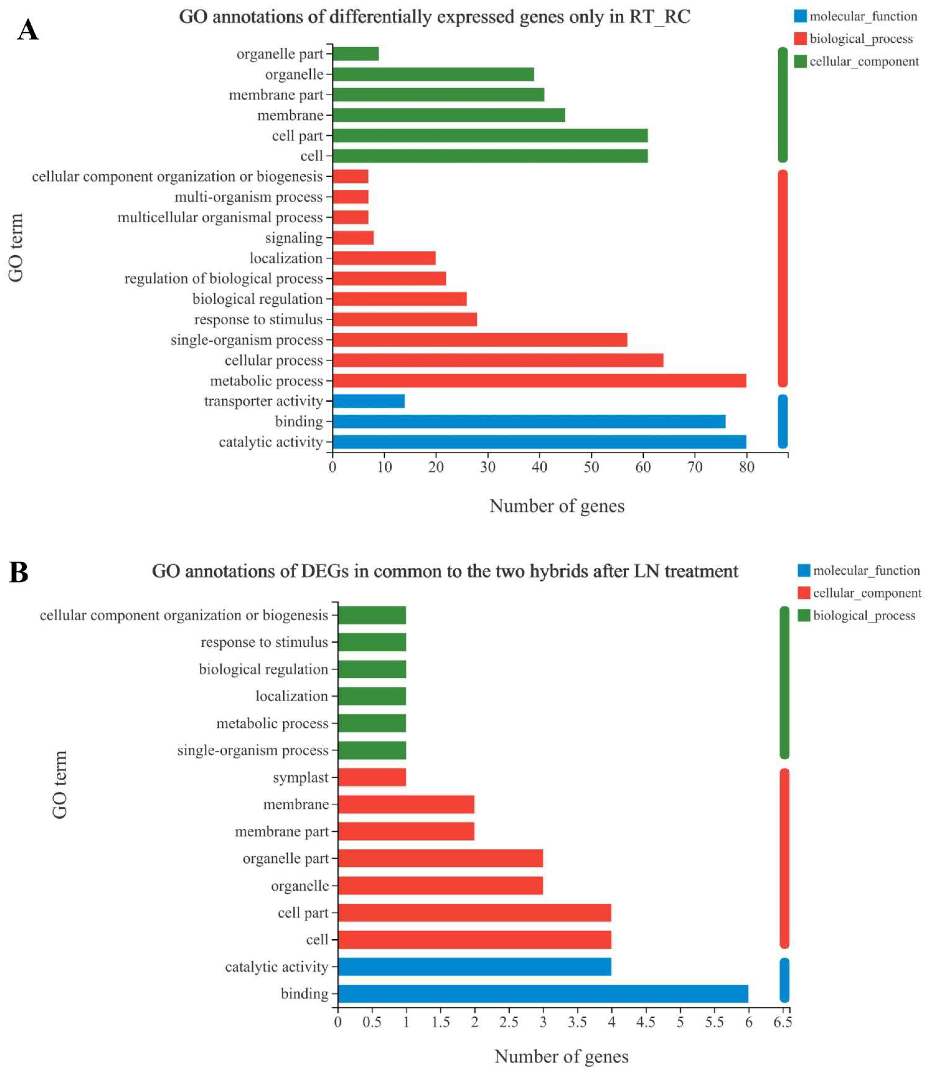 Antioxidants 12 01831 g003 Antioxidants 12 01831 g003