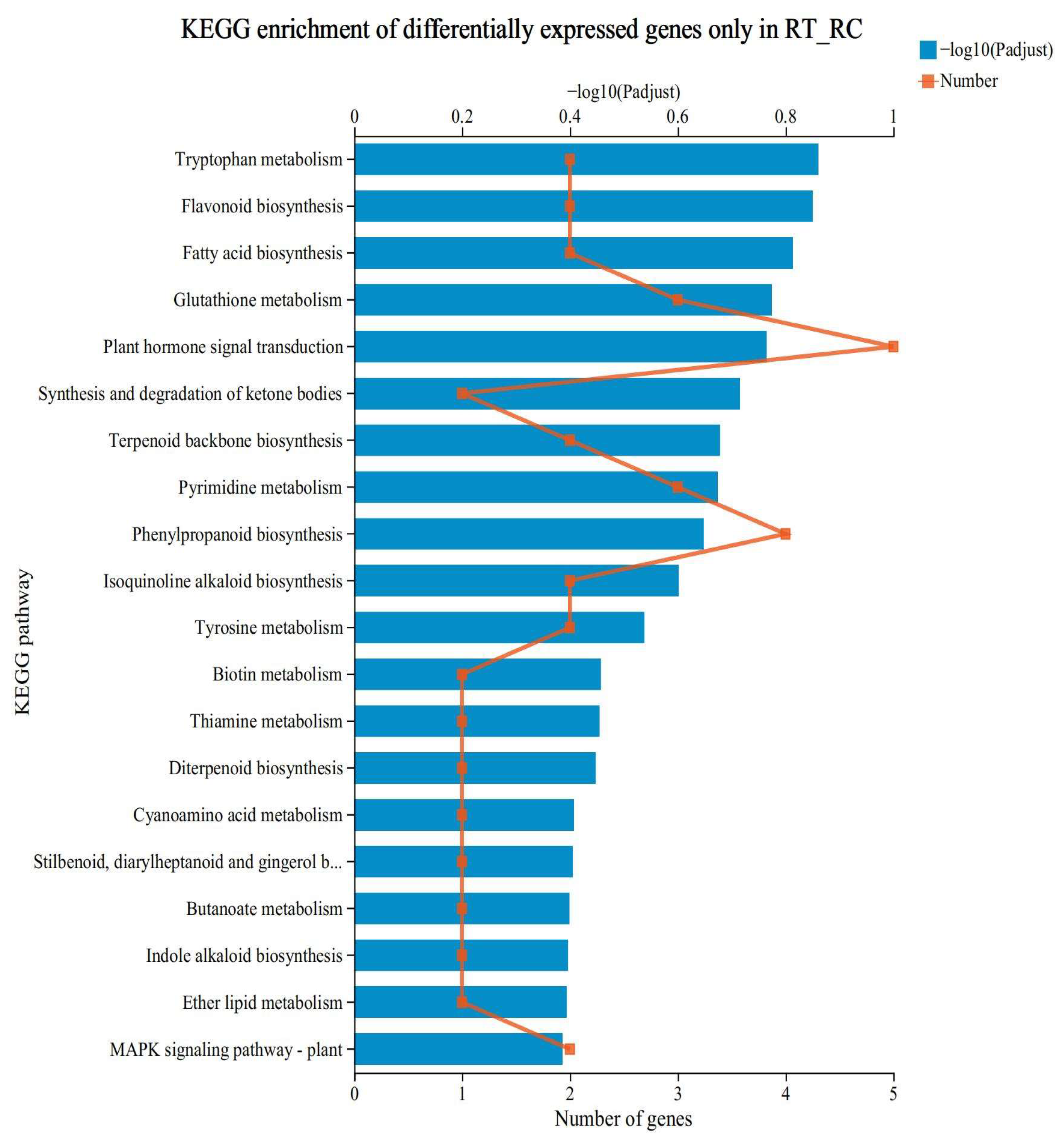 Antioxidants 12 01831 g004 Antioxidants 12 01831 g004