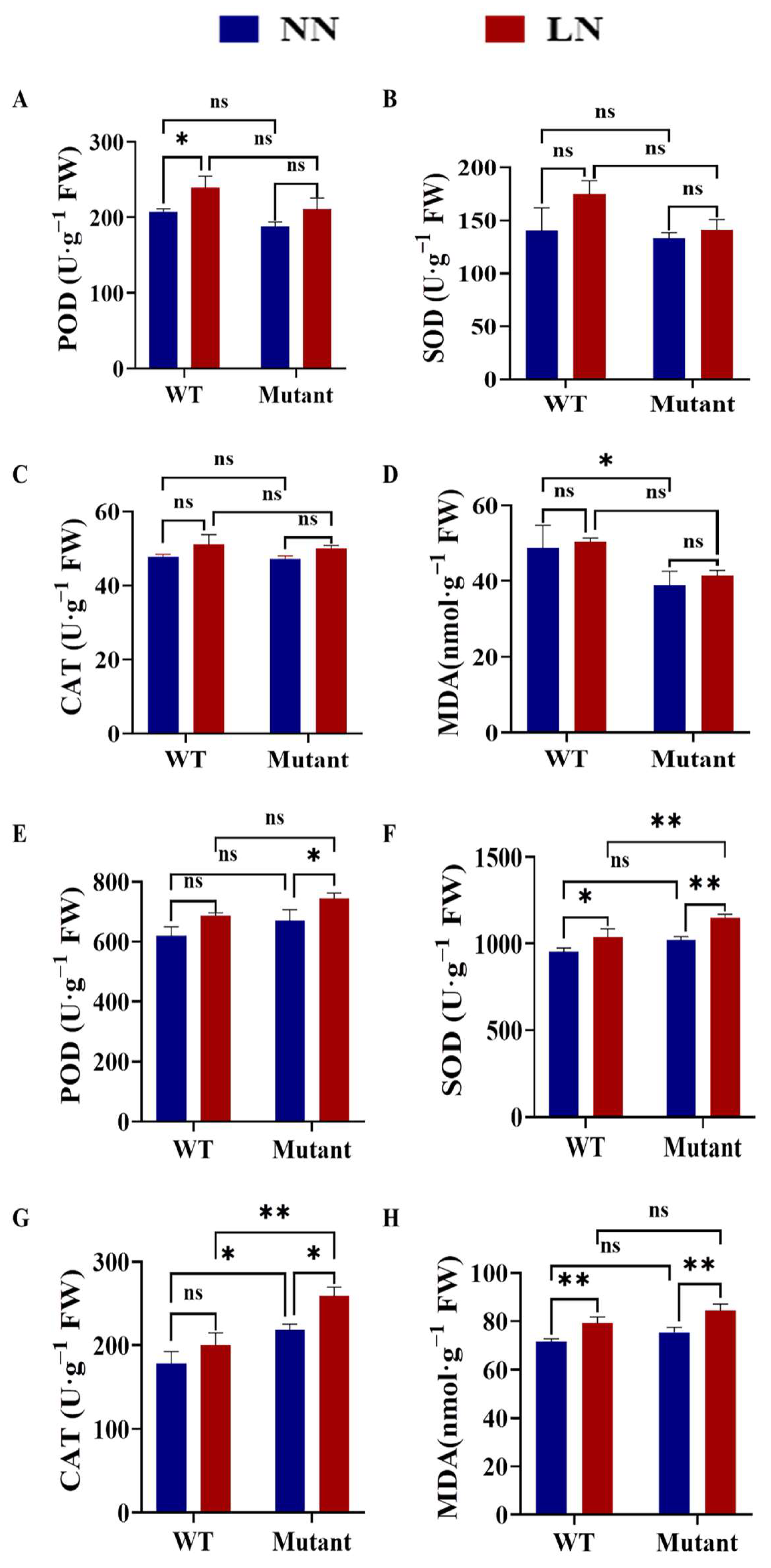 Antioxidants 12 01831 g007 Antioxidants 12 01831 g007