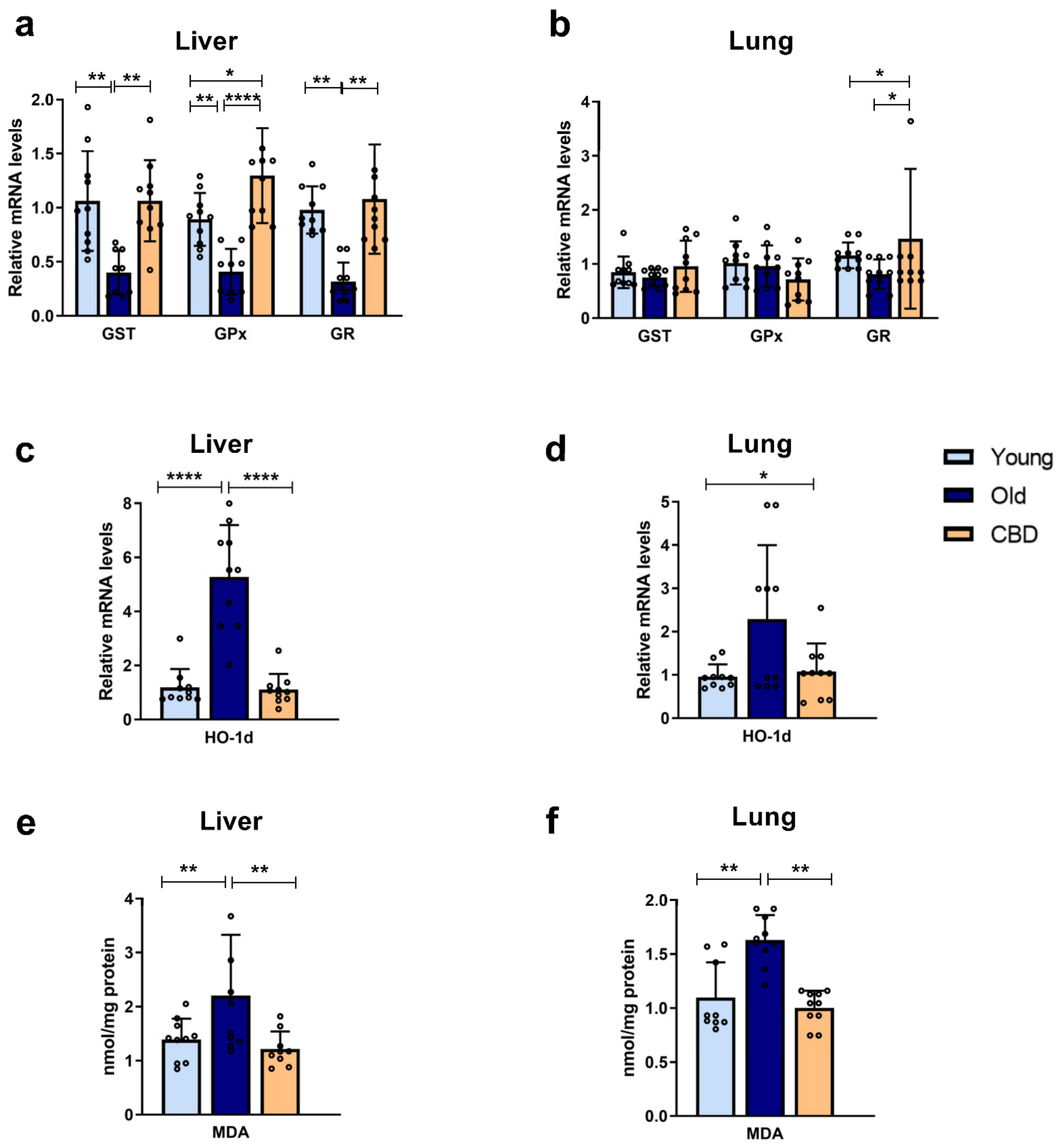 Antioxidants 12 01837 g001