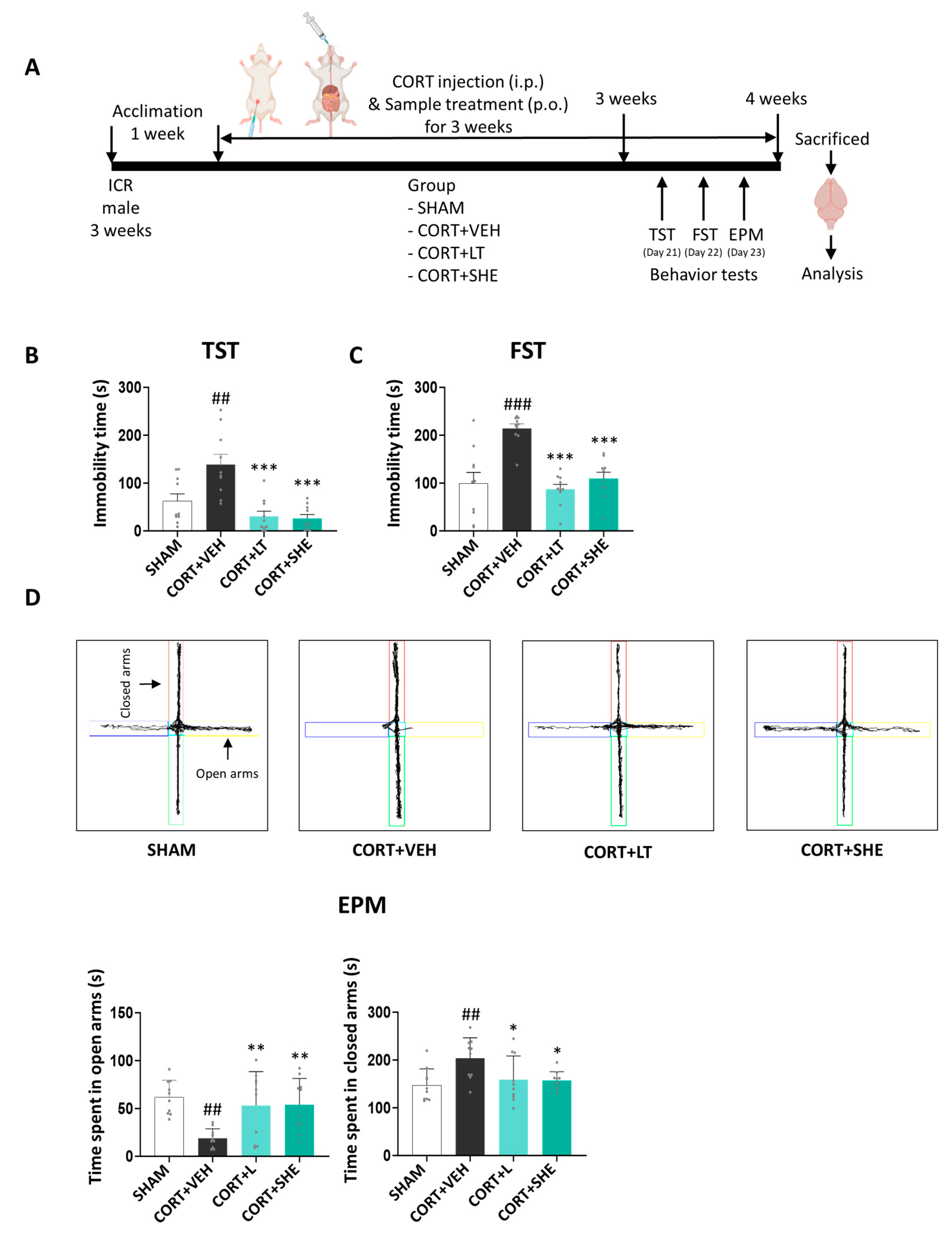 Antioxidants 12 01841 g002 Antioxidants 12 01841 g002