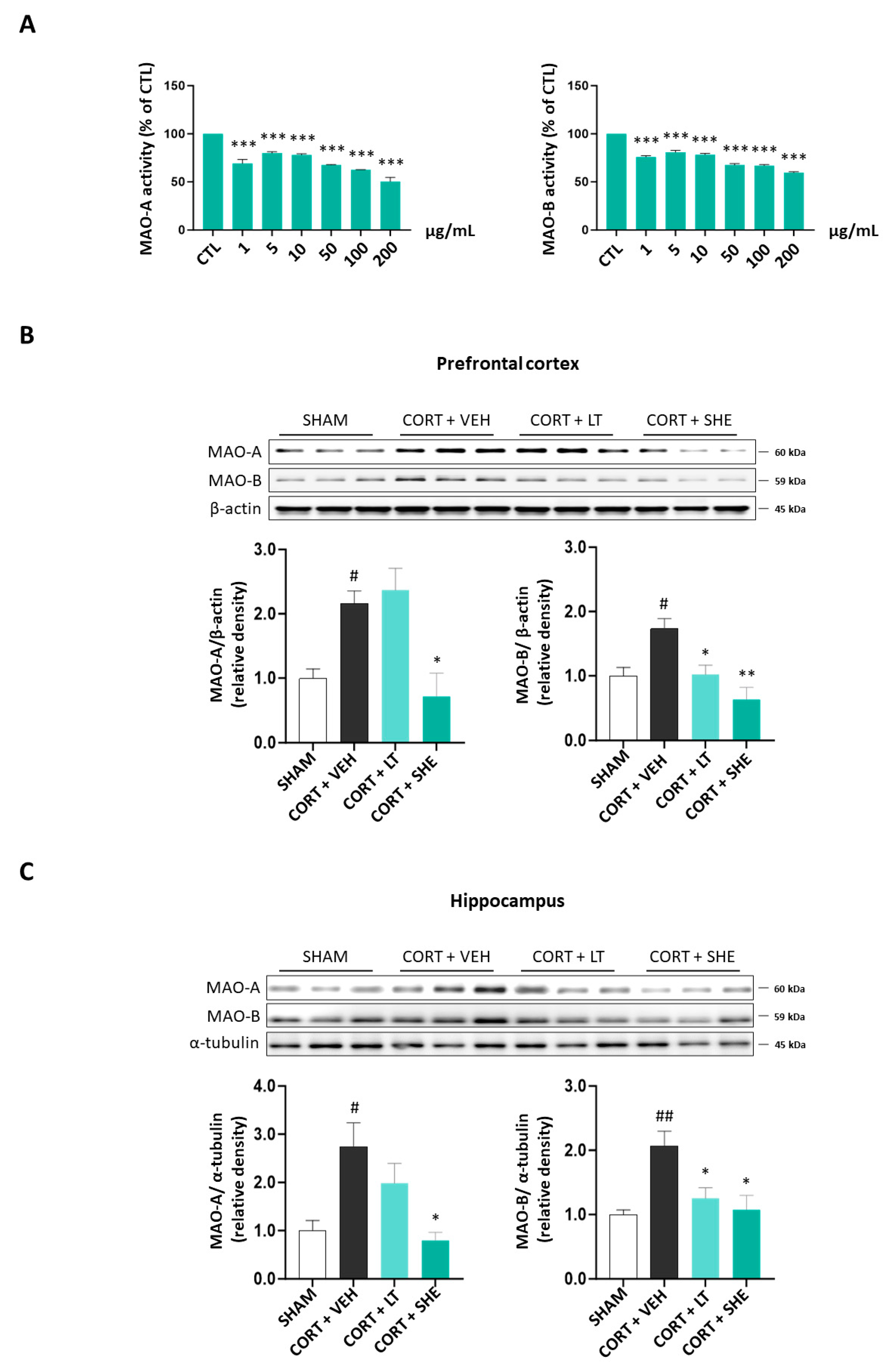 Antioxidants 12 01841 g004 Antioxidants 12 01841 g004