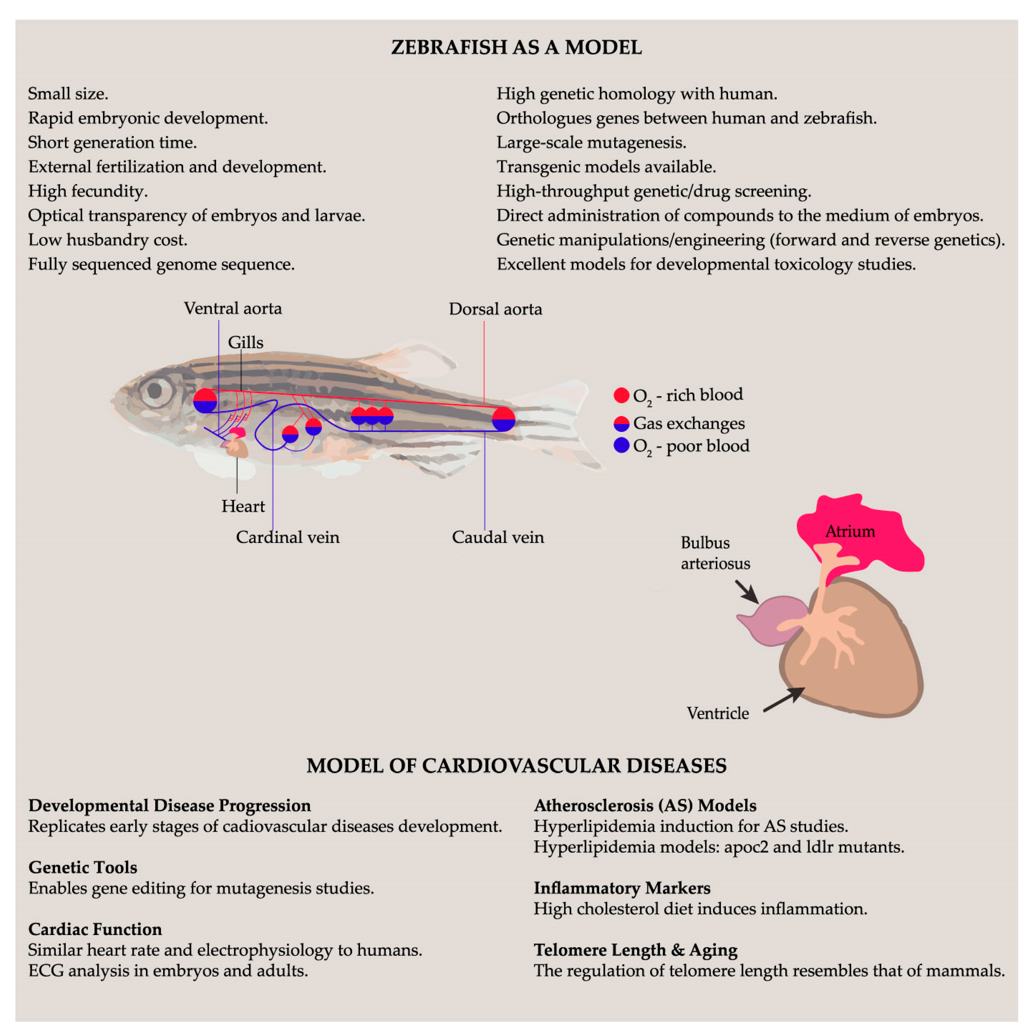 Antioxidants 12 01843 g001