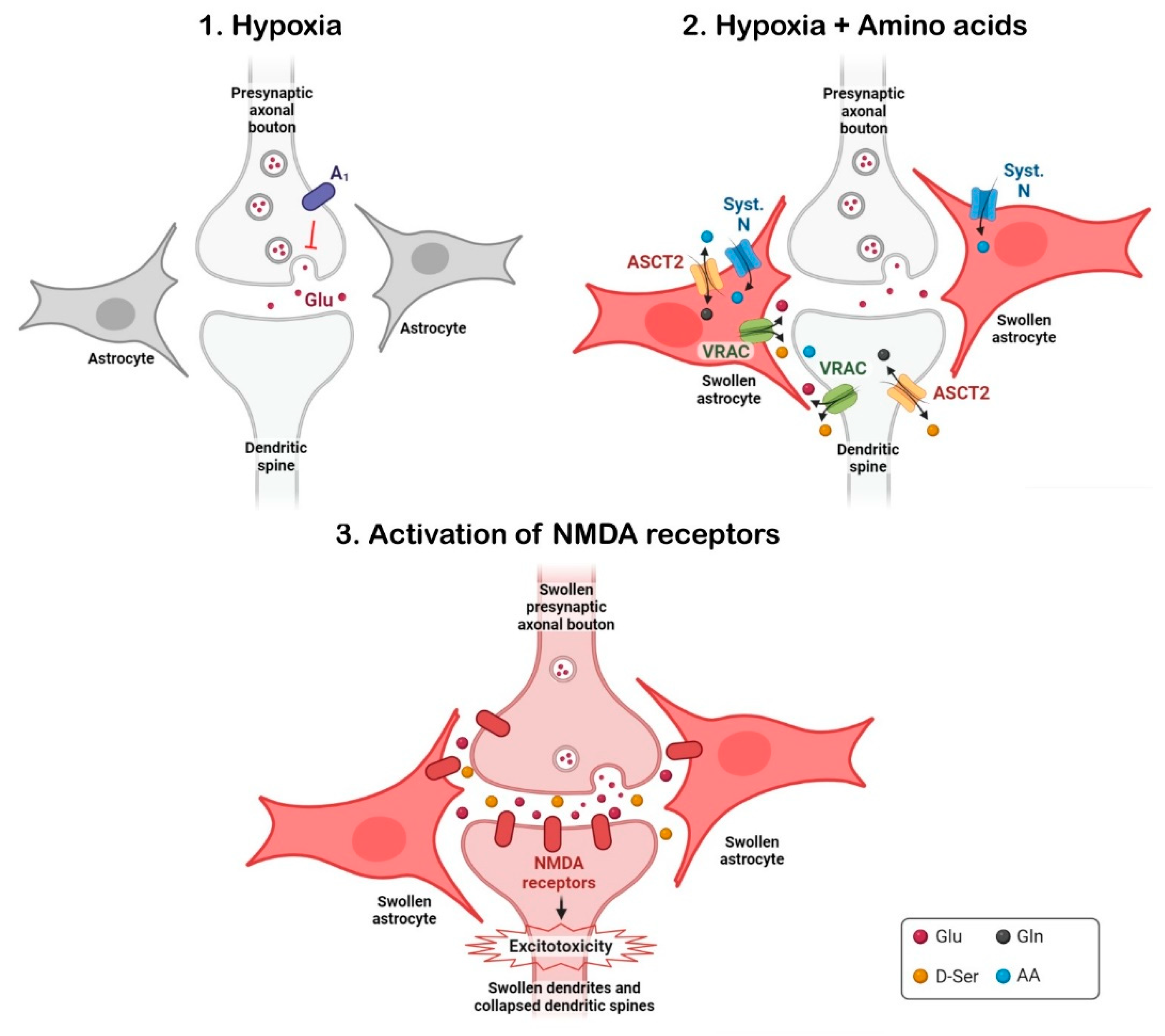 Antioxidants 12 01844 g004 Antioxidants 12 01844 g004
