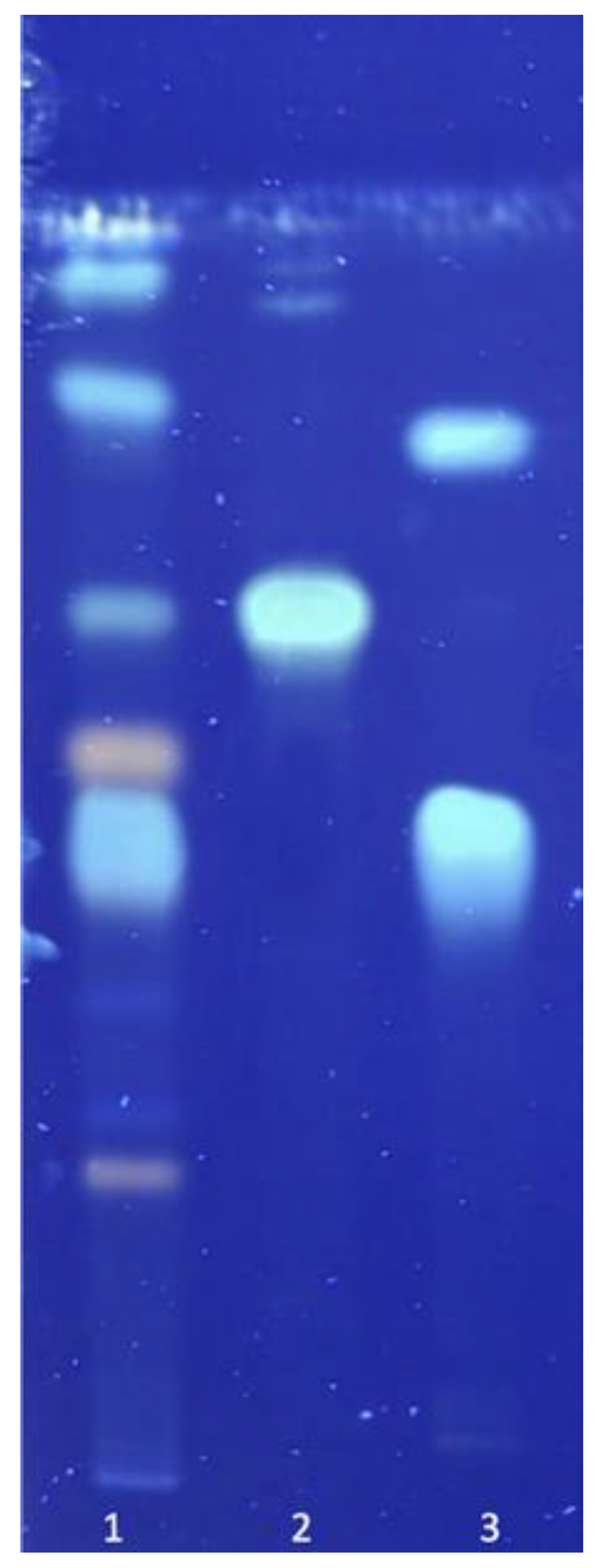 Antioxidants 12 01846 g001