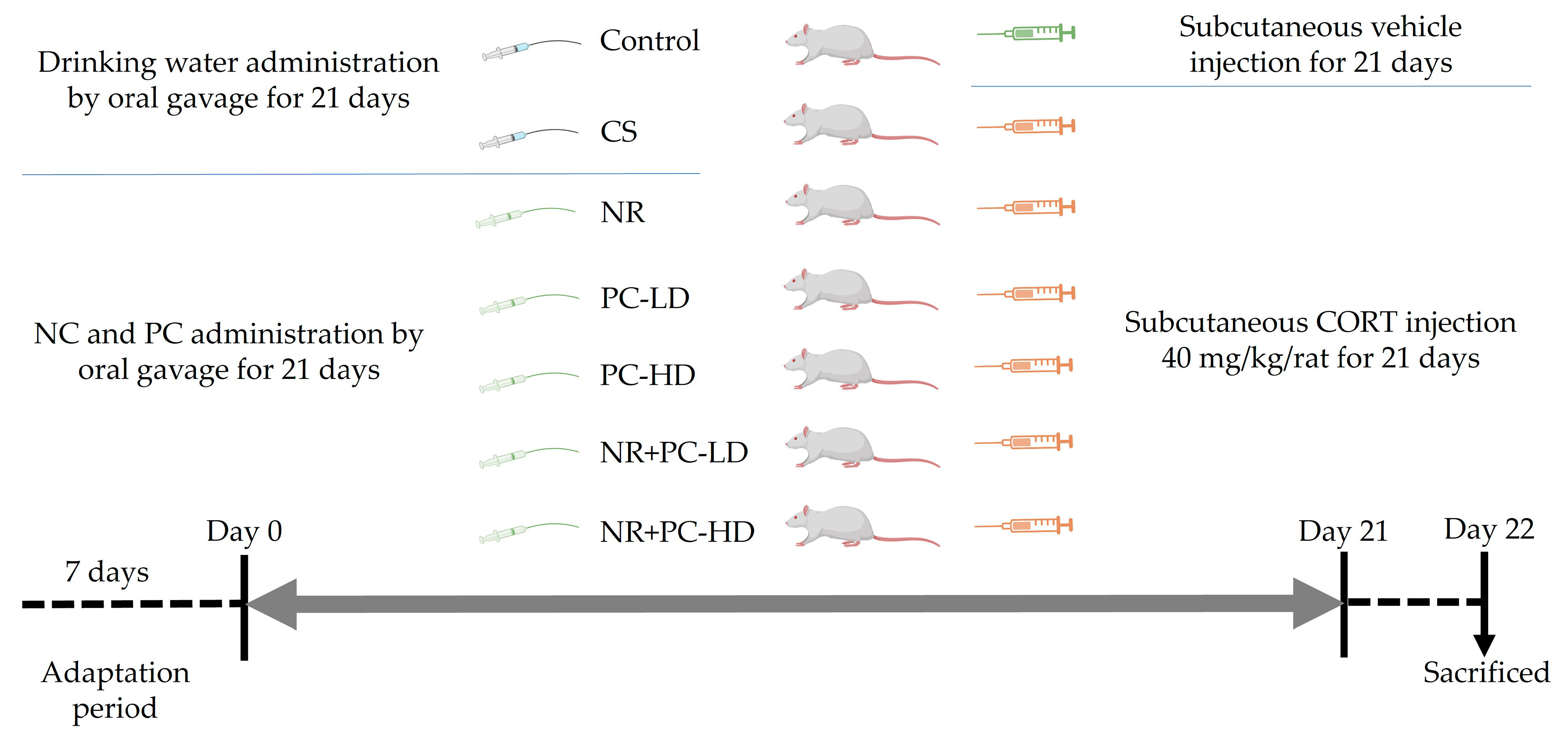 Antioxidants 12 01849 g001