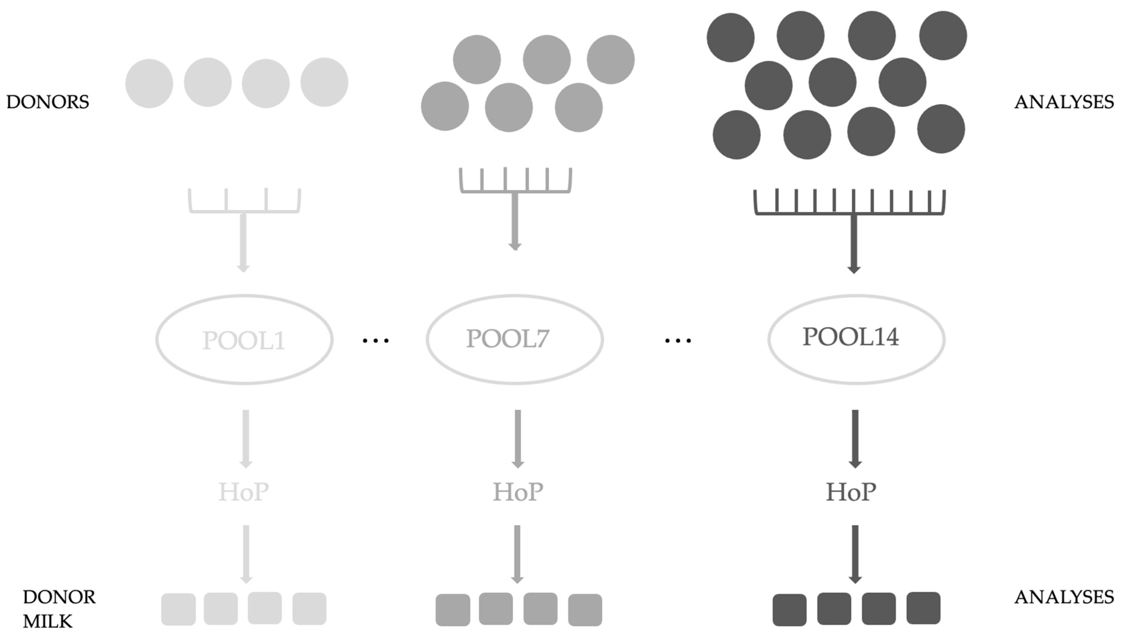 Antioxidants 12 01857 g001 Antioxidants 12 01857 g001