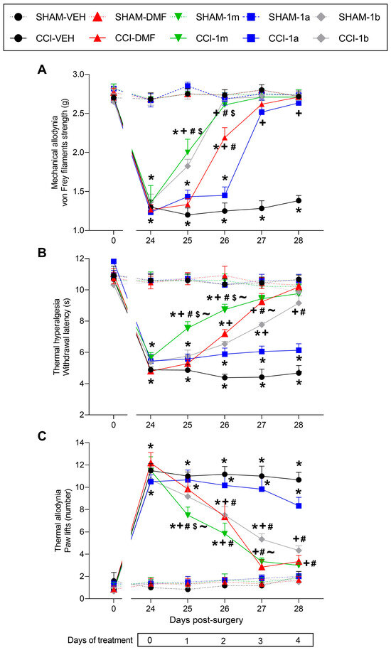 Antioxidants Free FullText The Inhibition of Neuropathic Pain