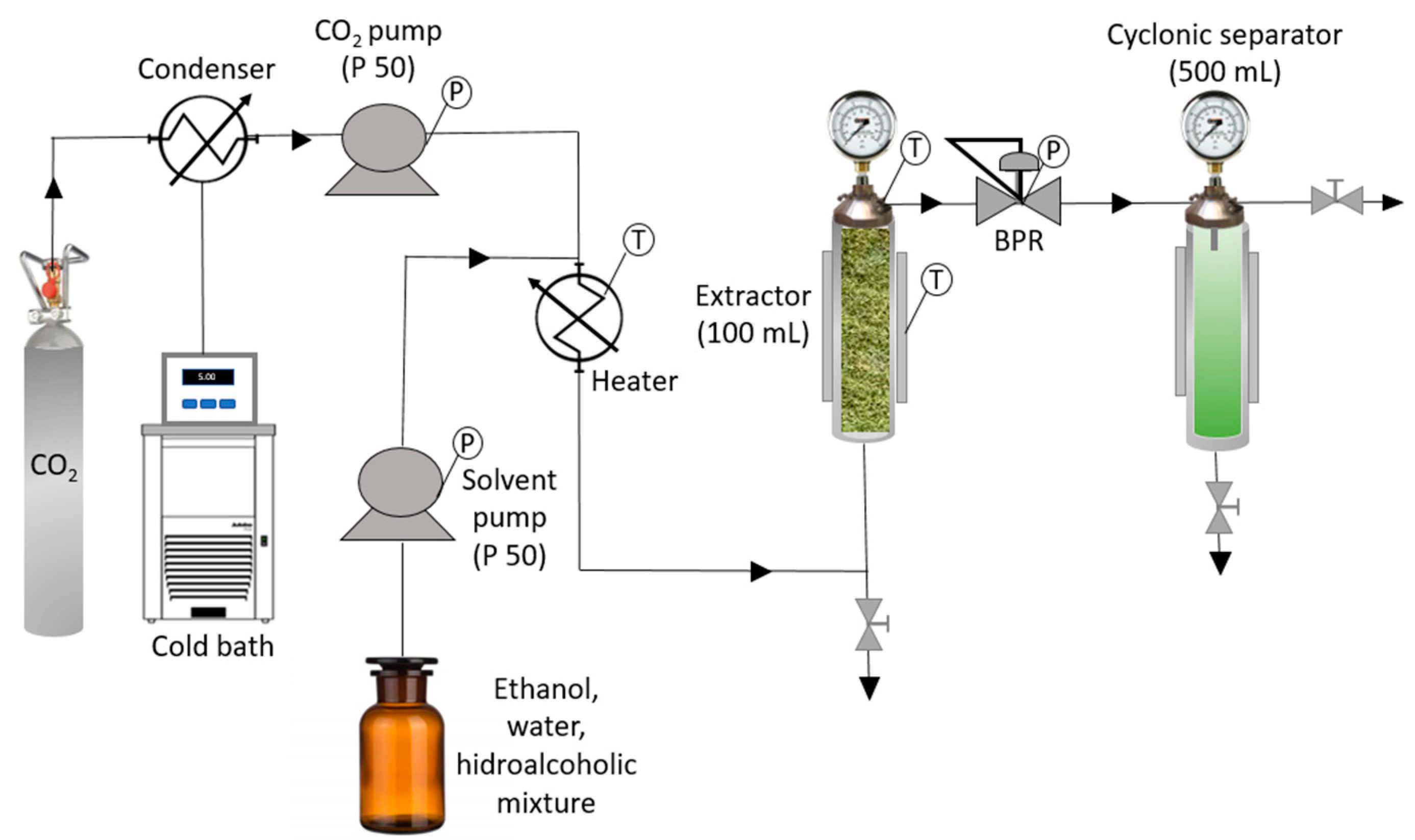 Antioxidants 12 01864 g001