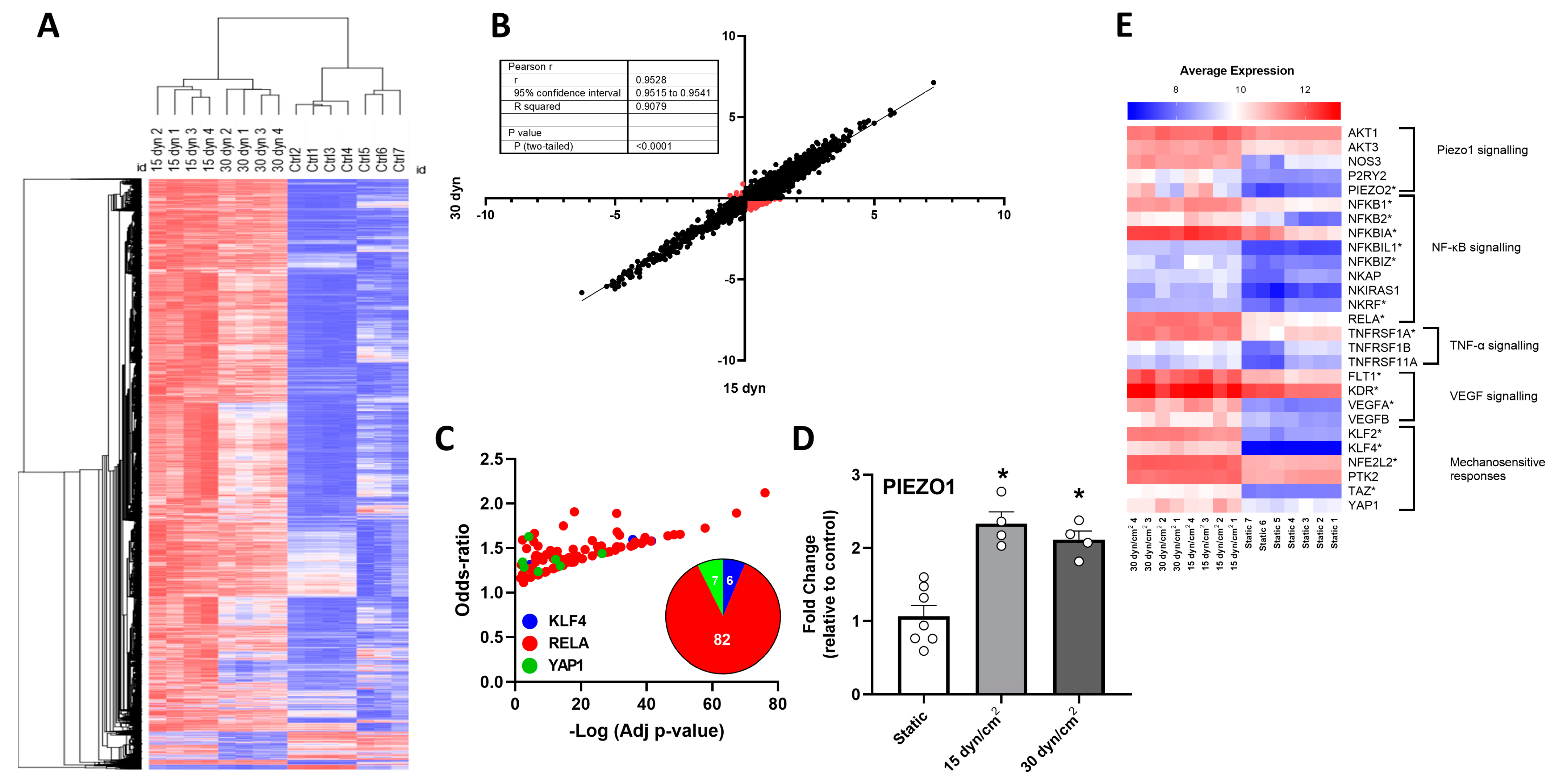 Antioxidants 12 01874 g001 Antioxidants 12 01874 g001