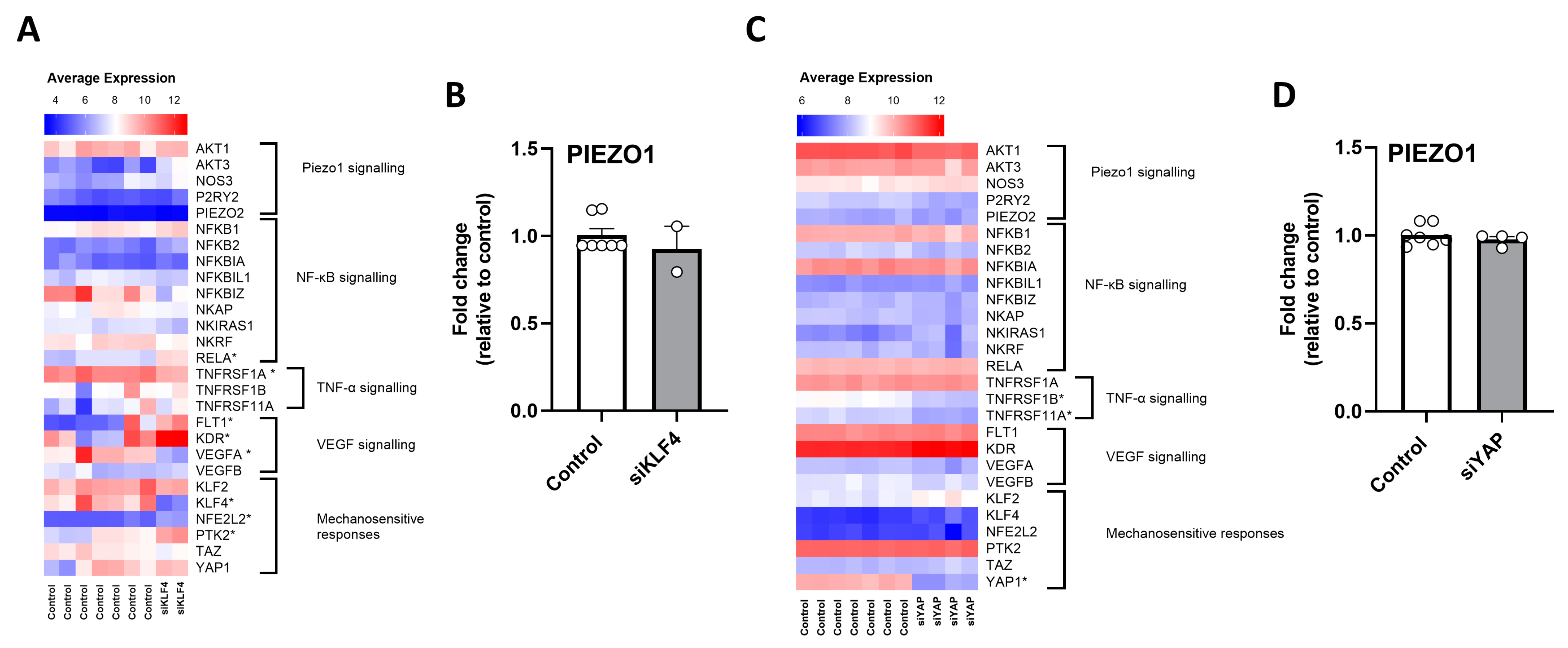 Antioxidants 12 01874 g002 Antioxidants 12 01874 g002