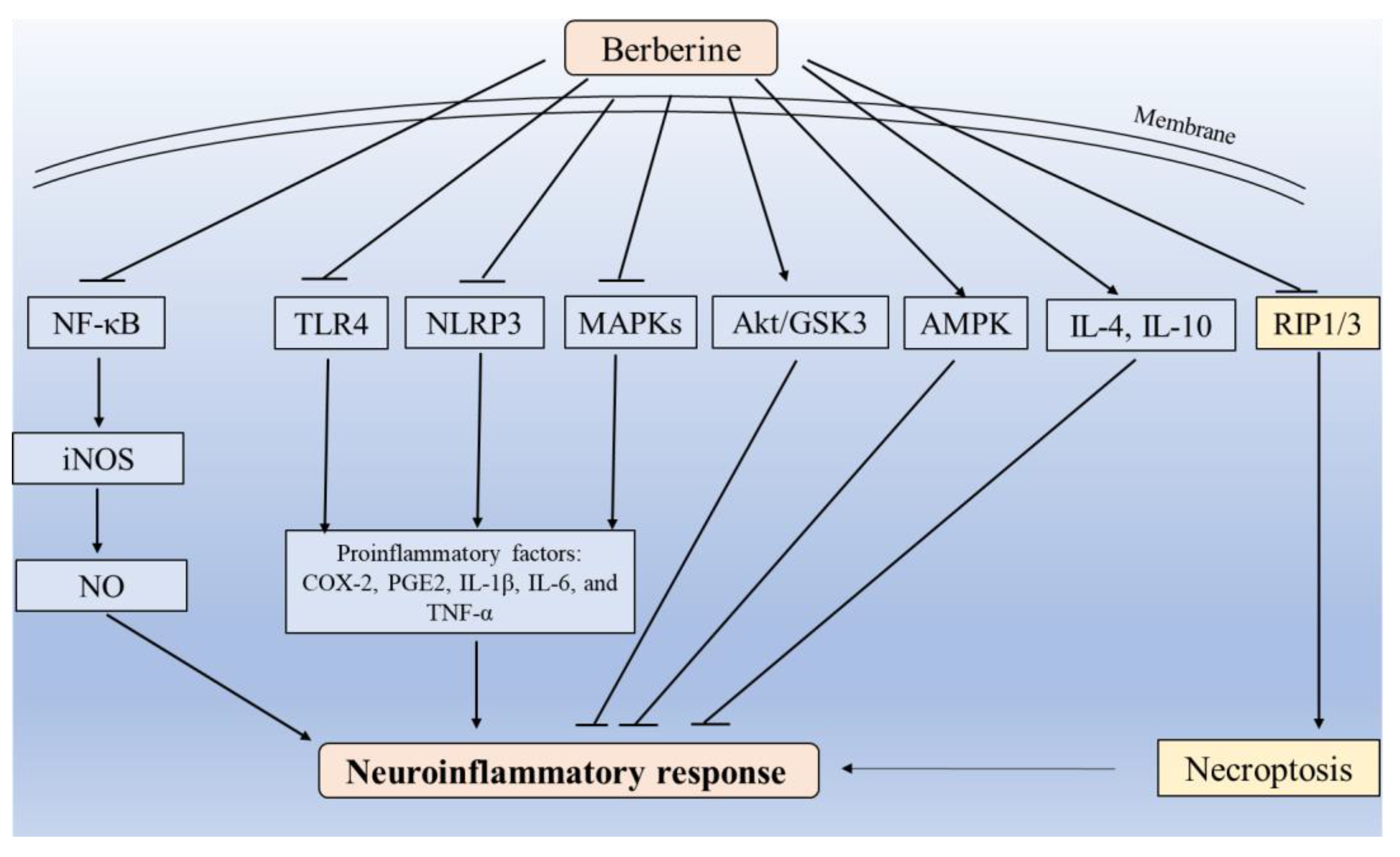 Antioxidants 12 01883 g003