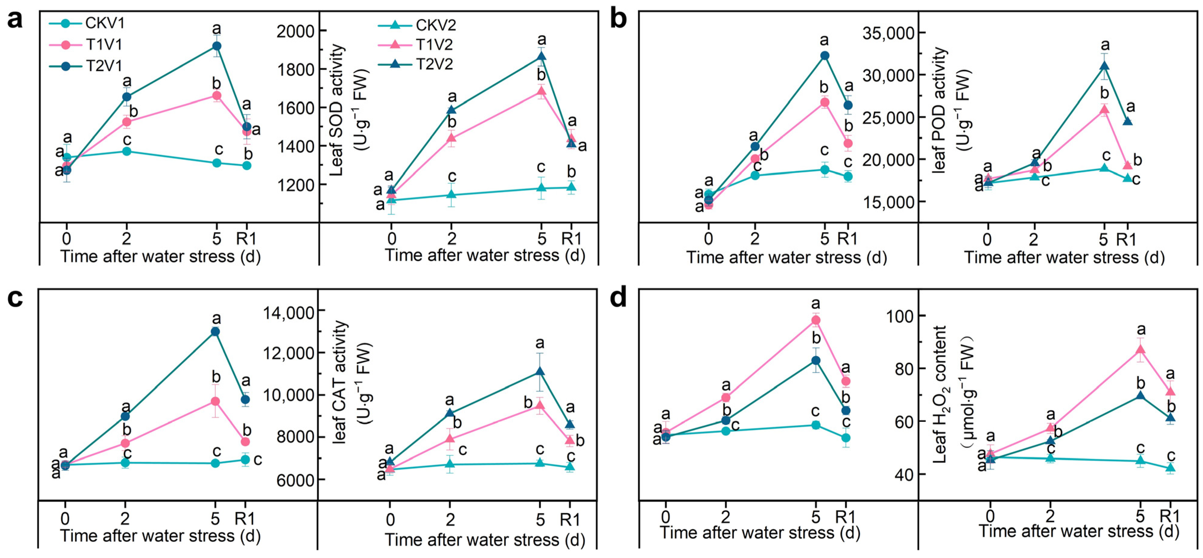 Antioxidants 12 01884 g003