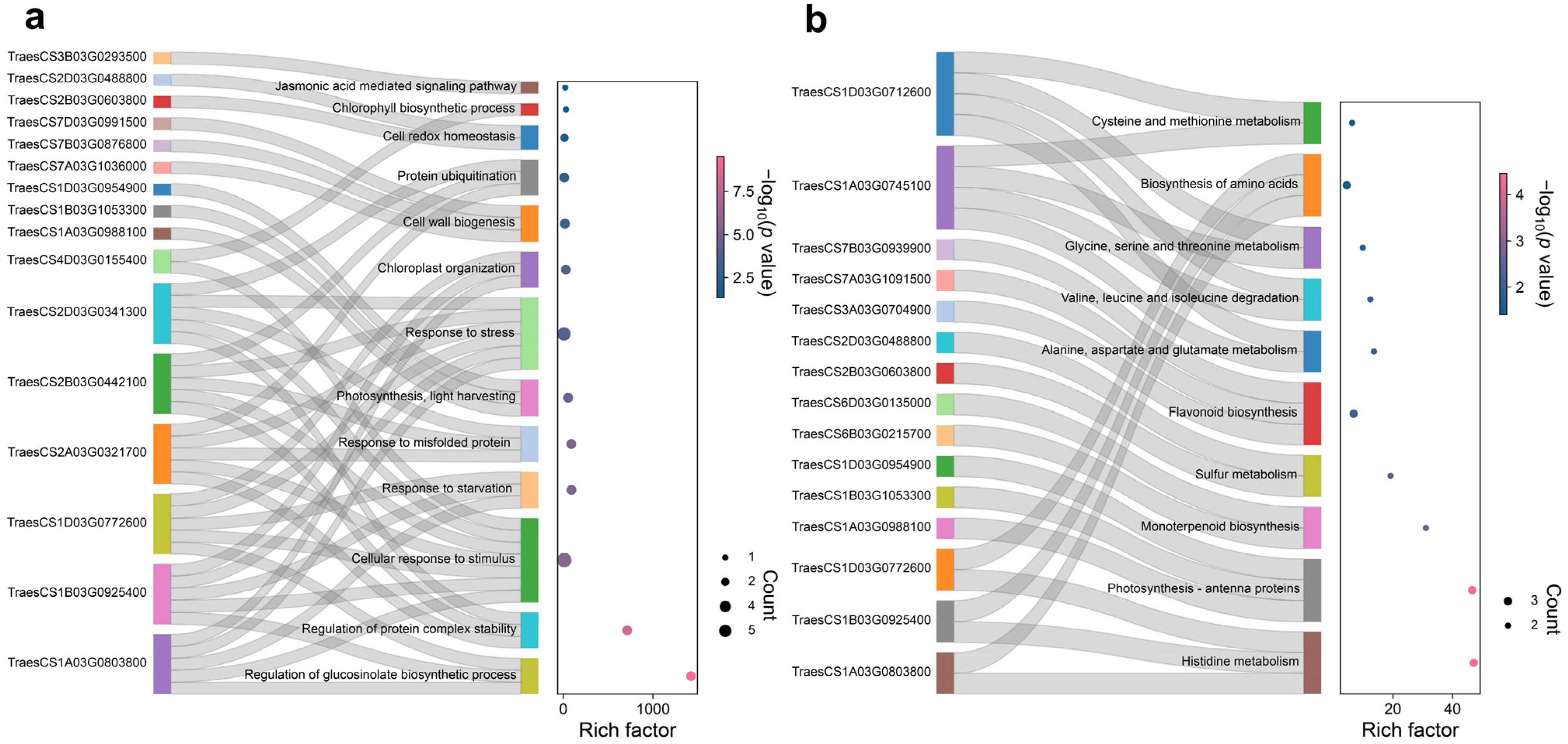 Antioxidants 12 01884 g004