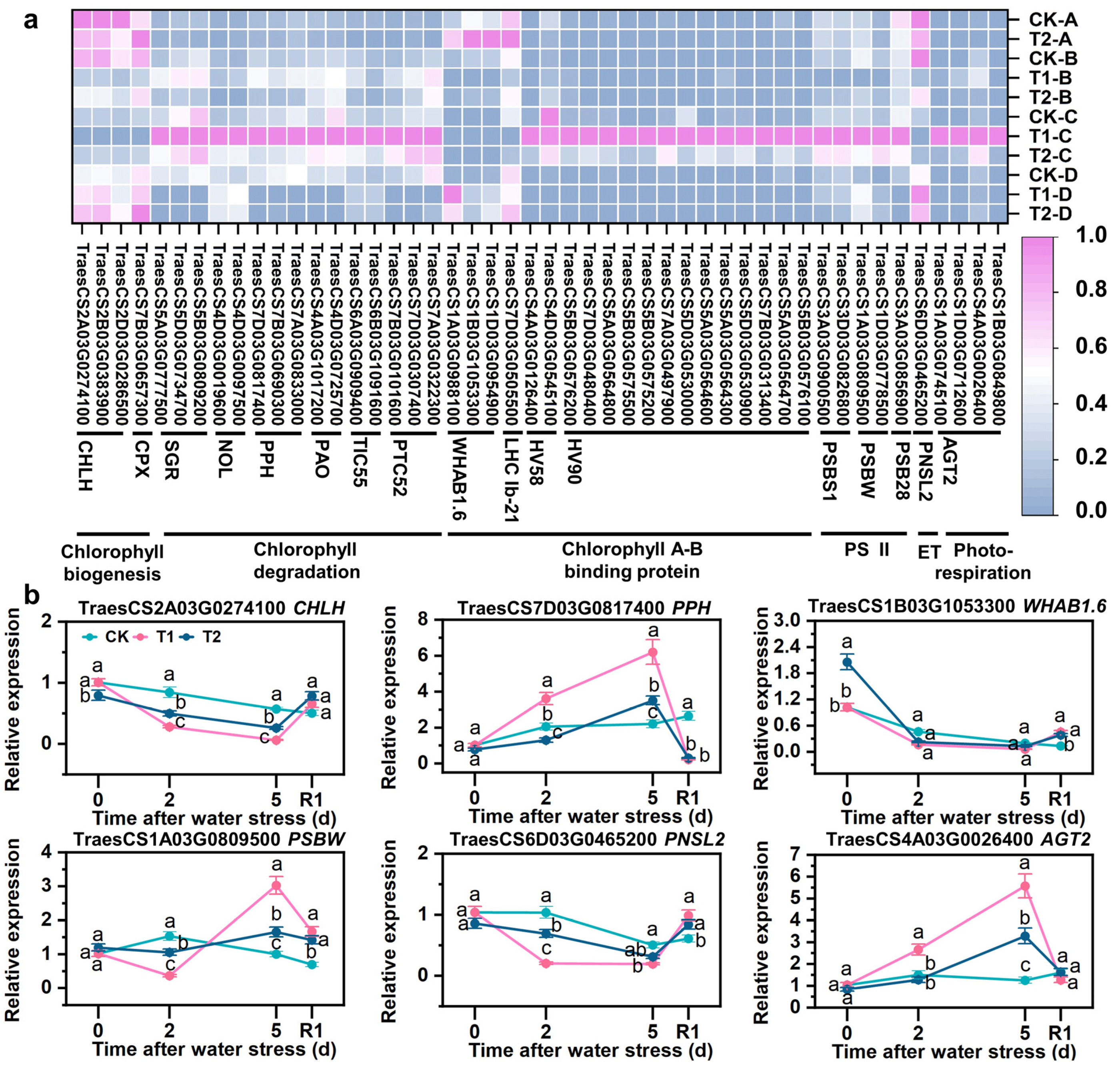 Antioxidants 12 01884 g007