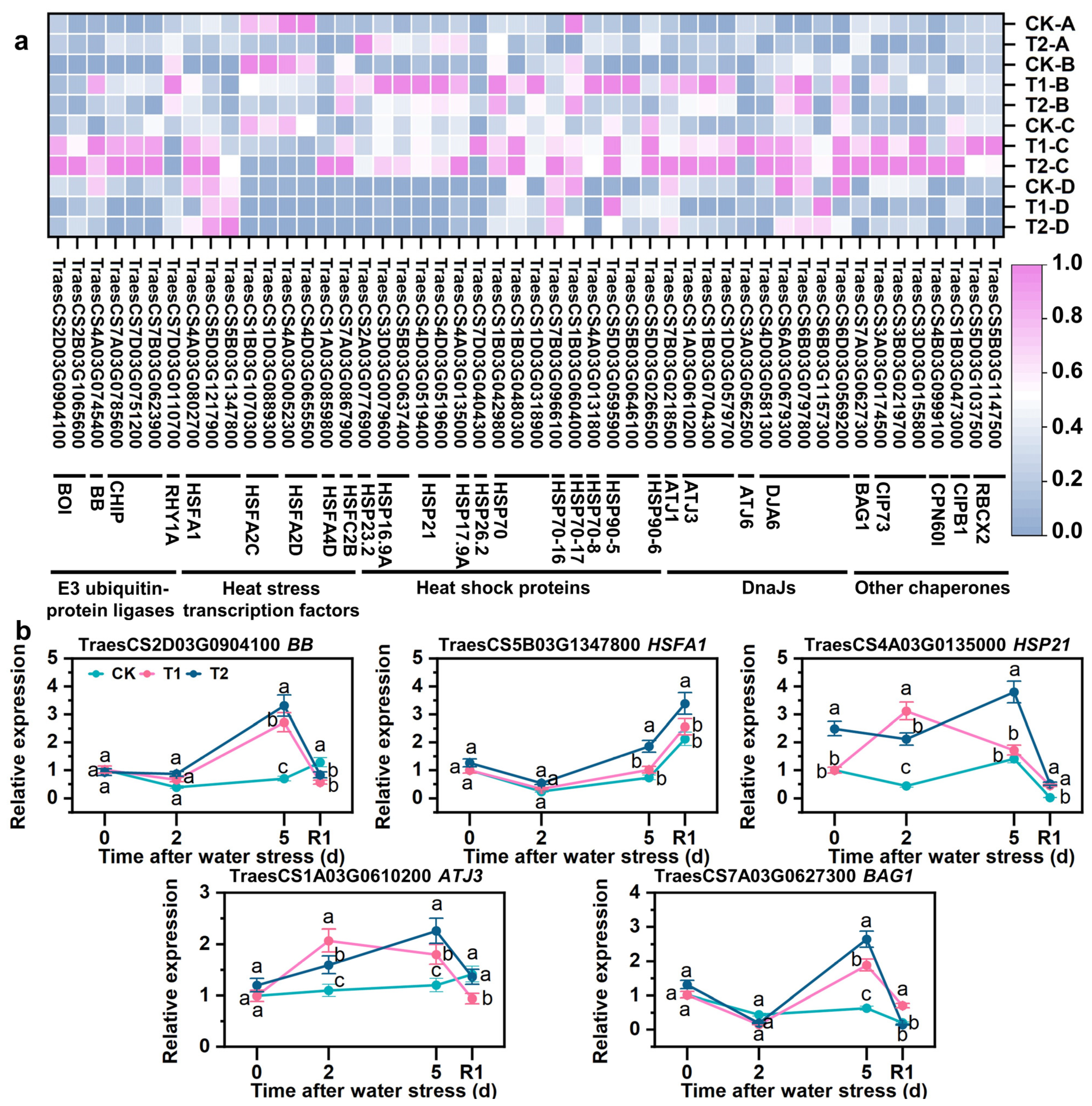 Antioxidants 12 01884 g008