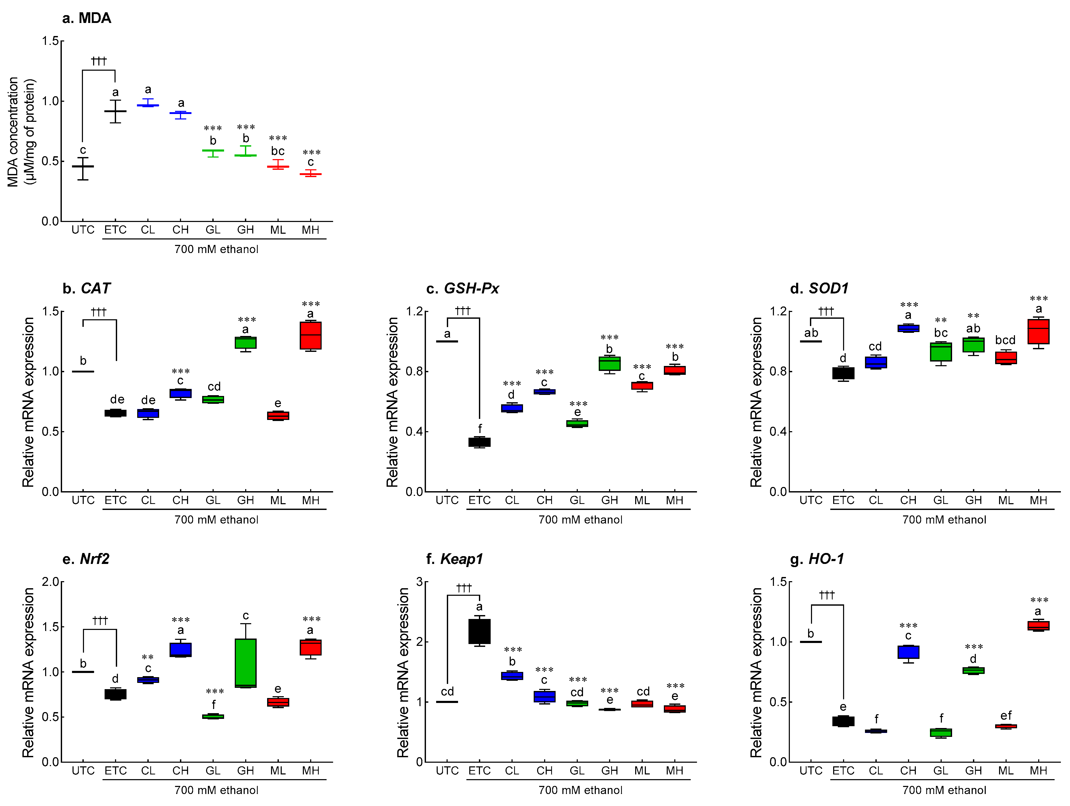 Antioxidants 12 01885 g007