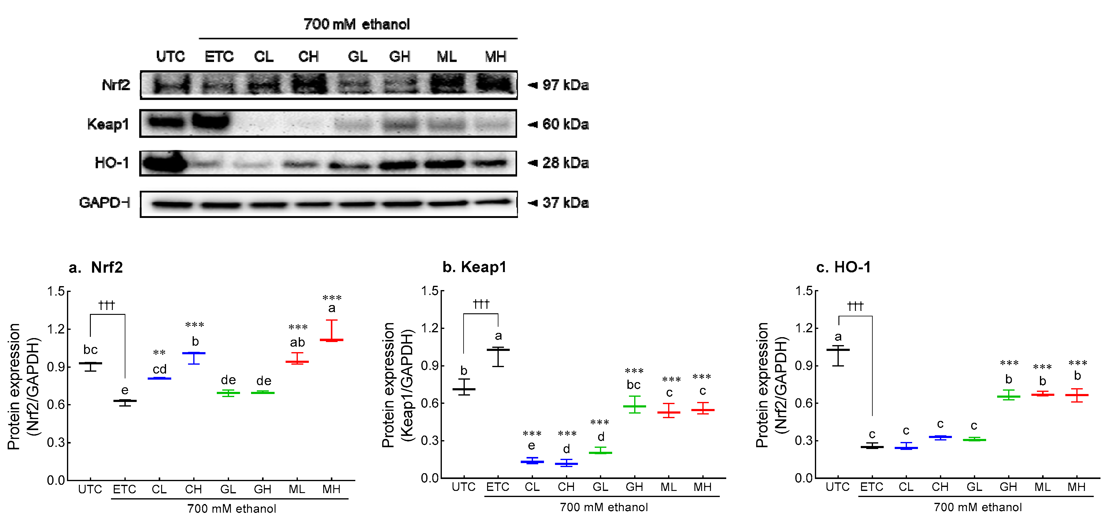 Antioxidants 12 01885 g008