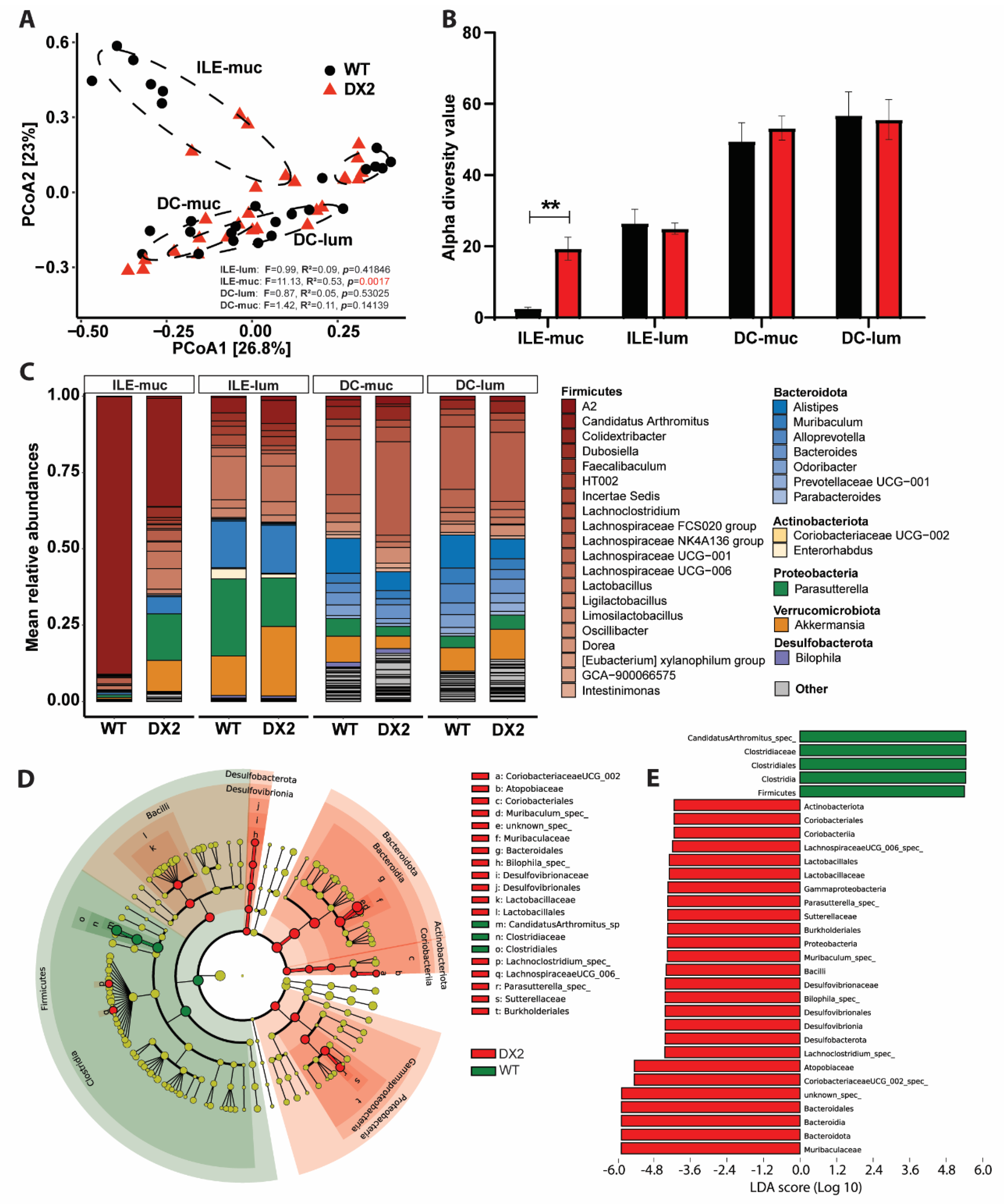 Antioxidants 12 01889 g002