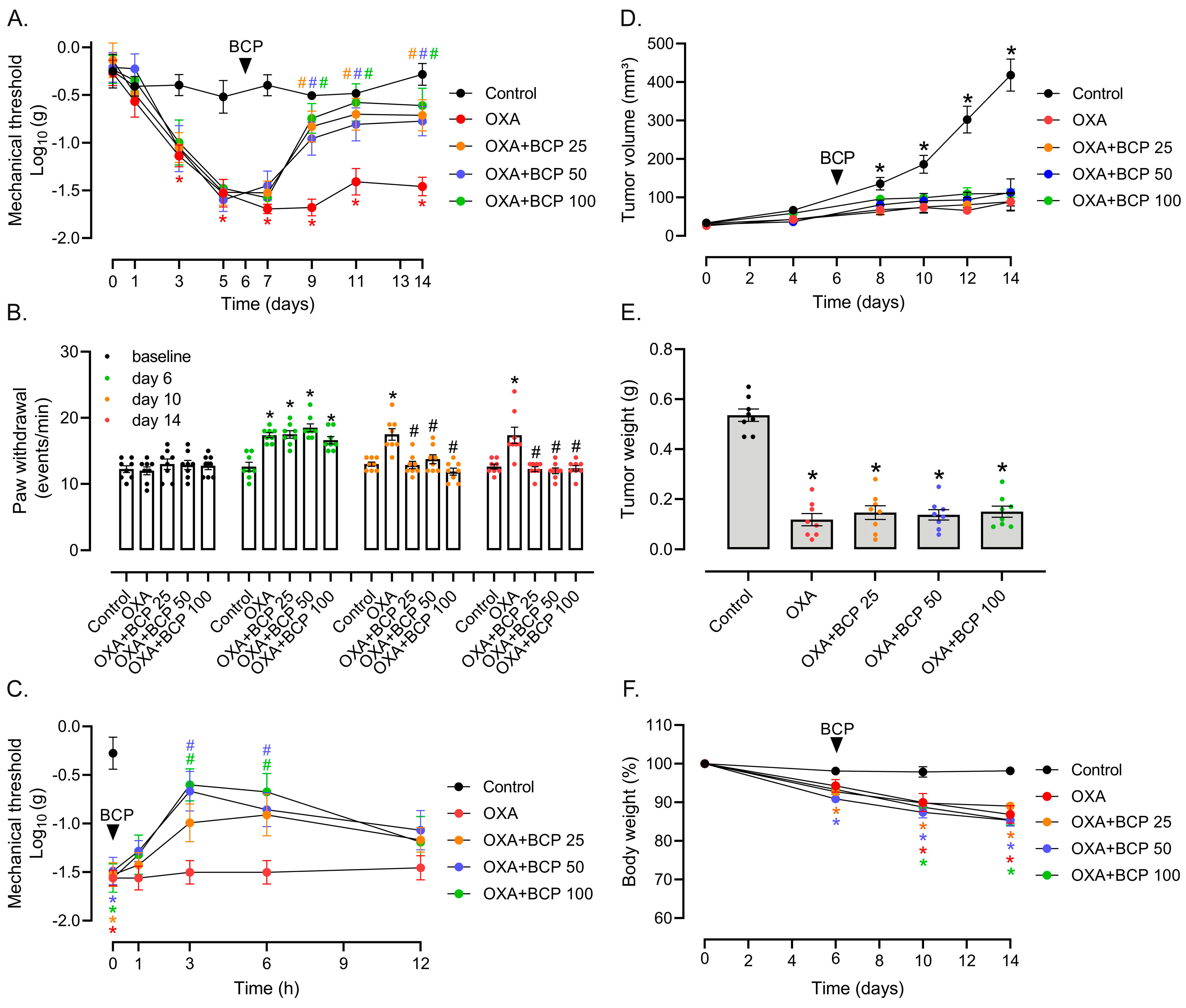 Antioxidants 12 01893 g002