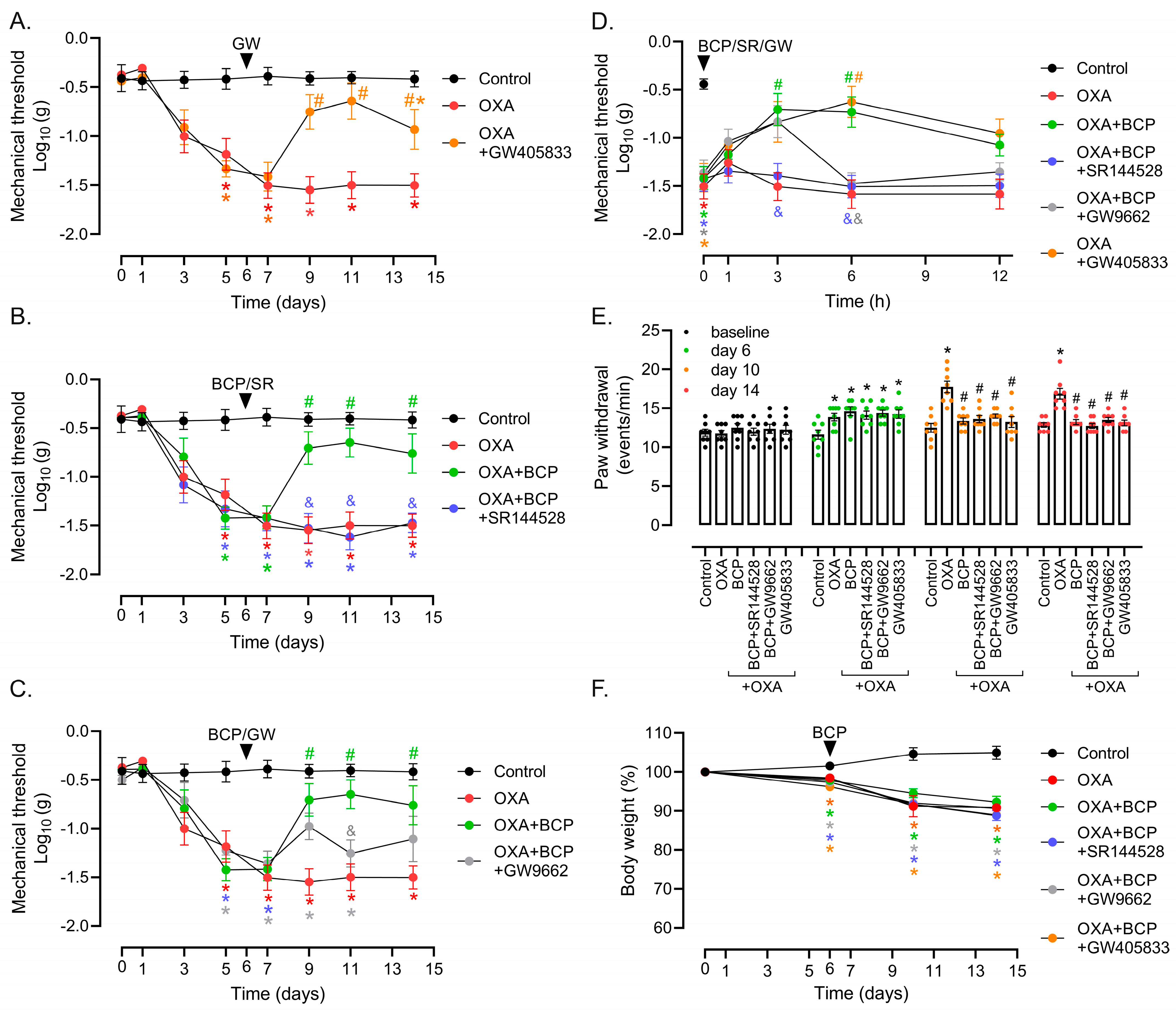 Antioxidants 12 01893 g003