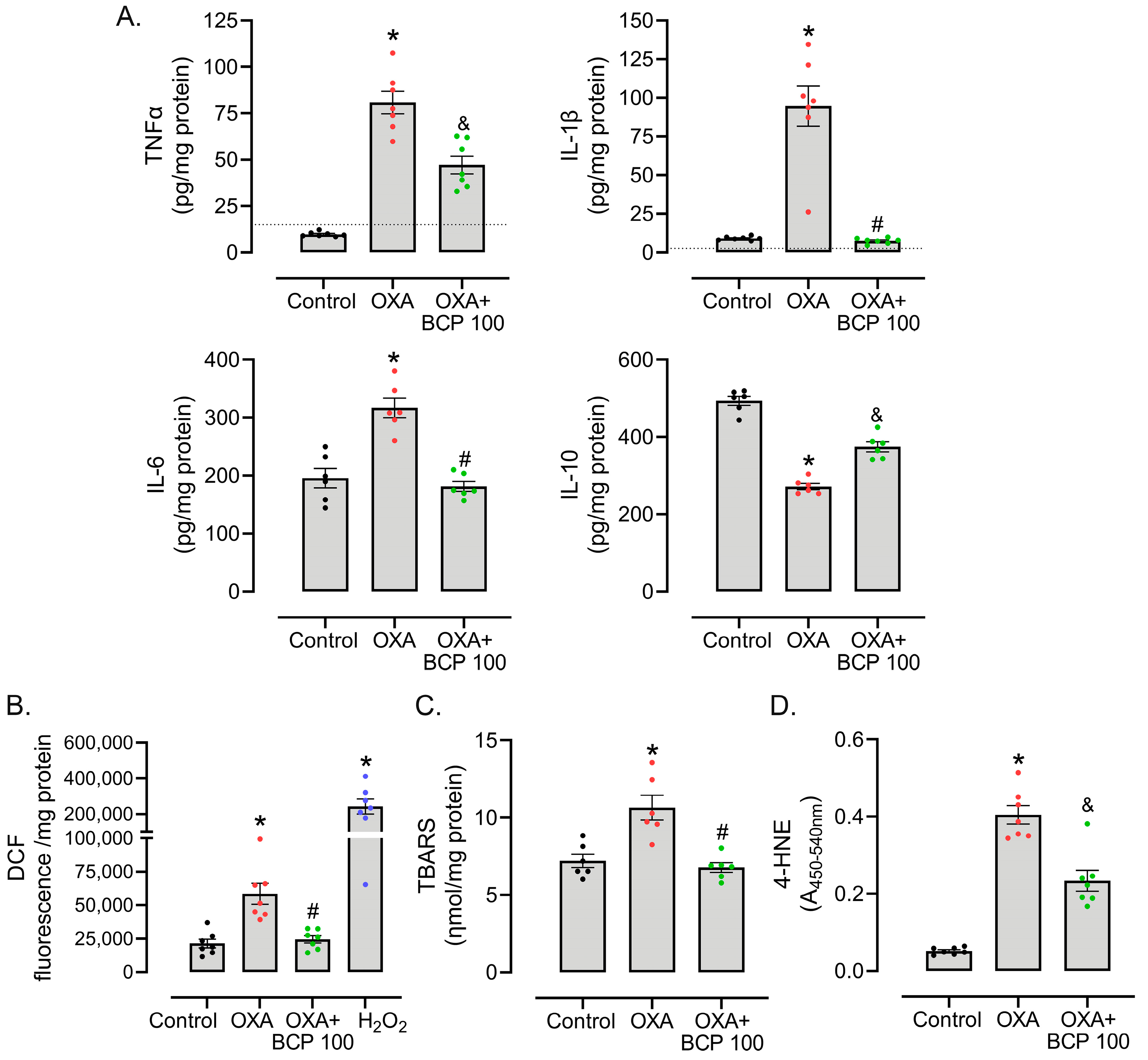Antioxidants 12 01893 g004