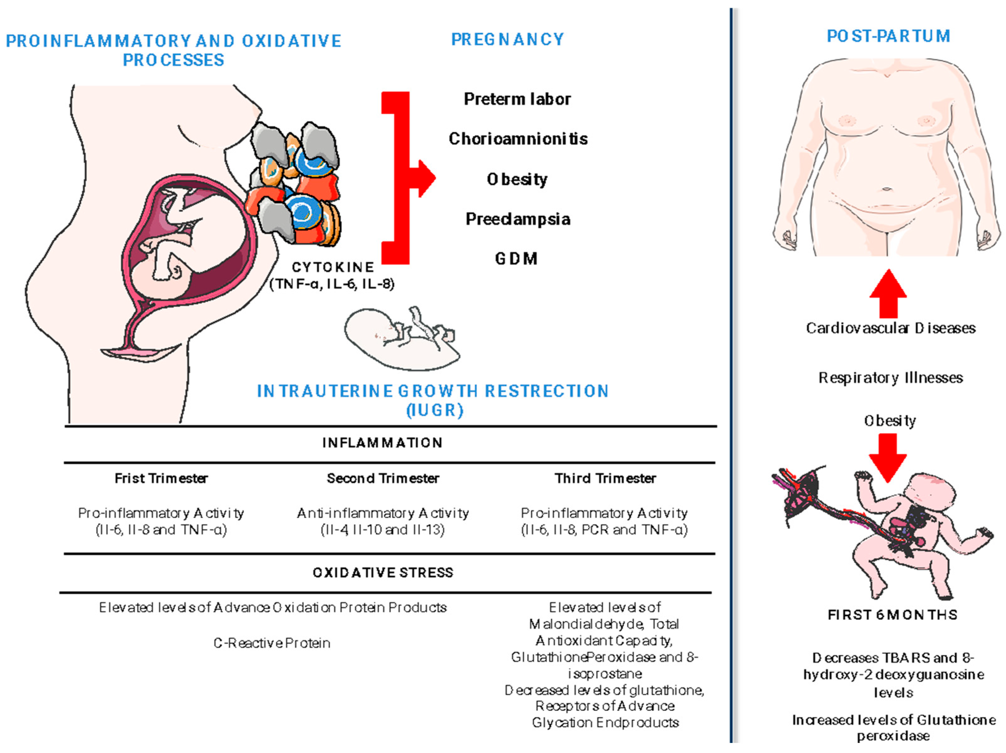 Antioxidants 12 01894 g001