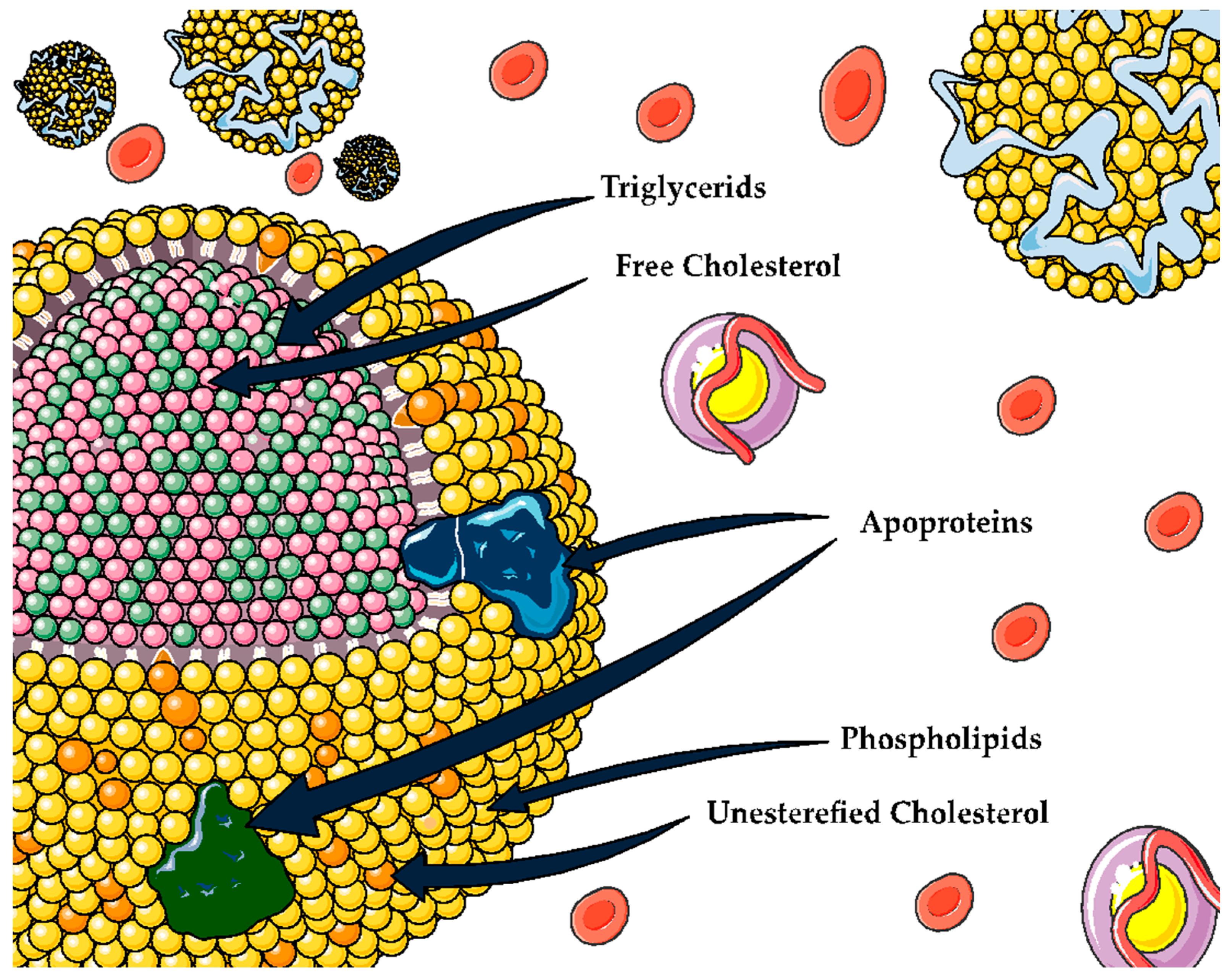 Antioxidants 12 01894 g002