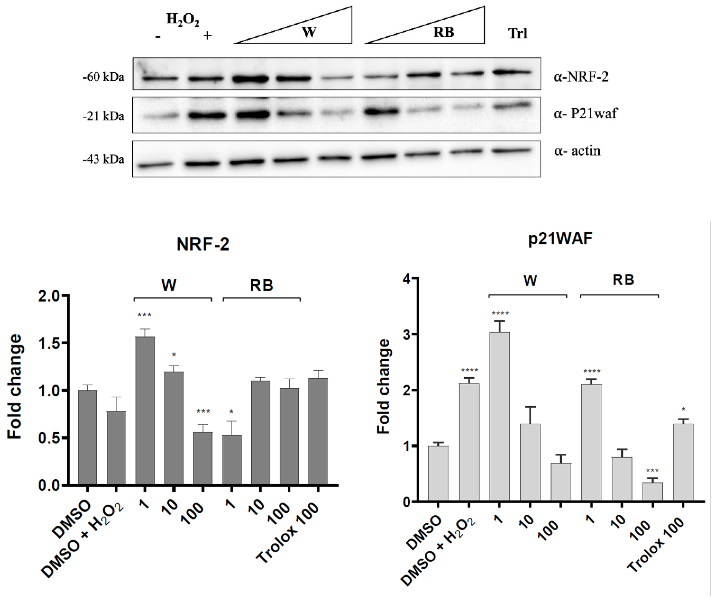 Antioxidants 12 01895 g005a