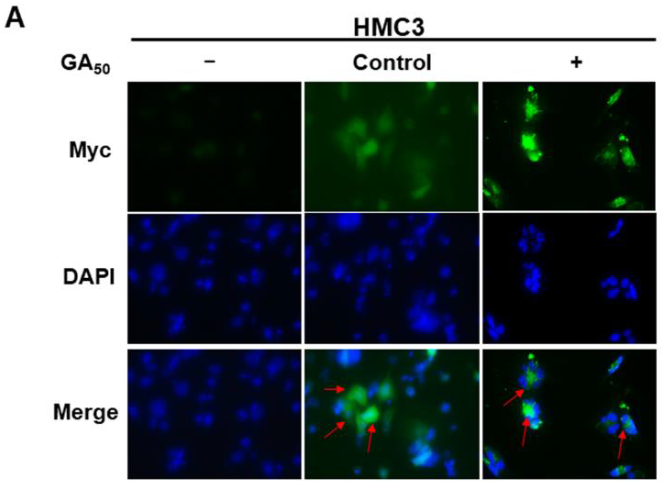 Antioxidants 12 01896 g001a