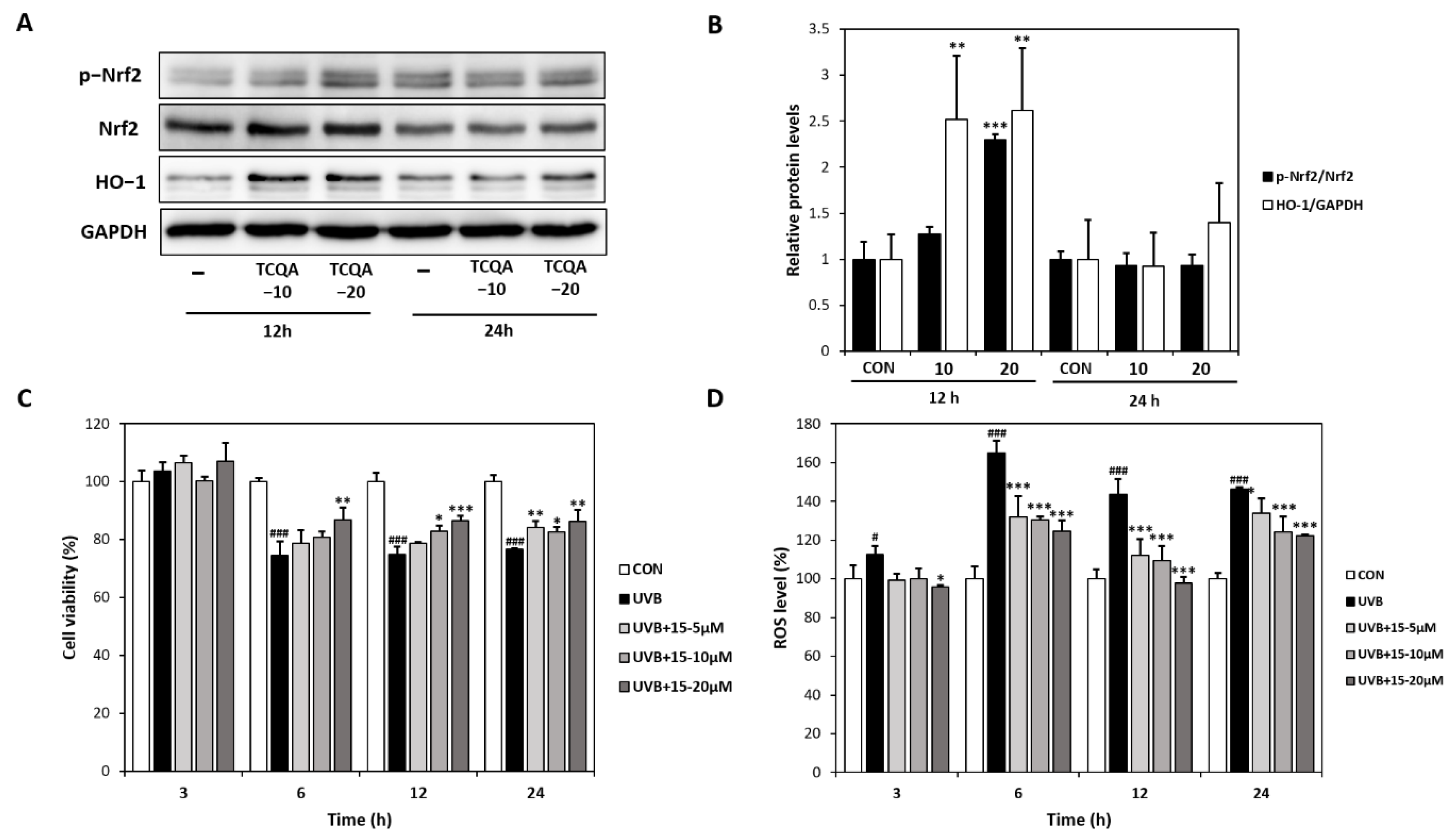 Antioxidants 12 01899 g004 Antioxidants 12 01899 g004