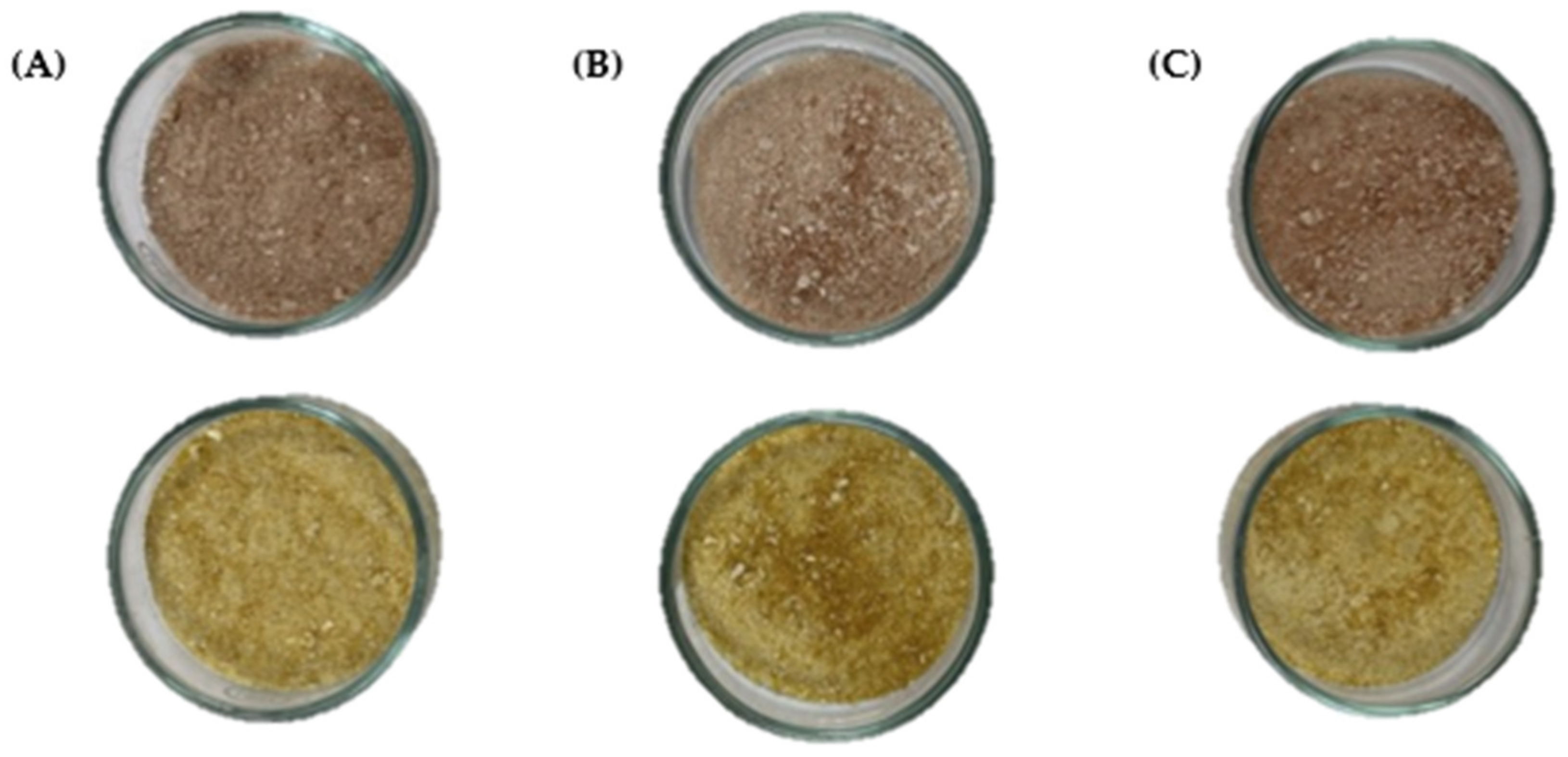 Antioxidants 12 01900 g001