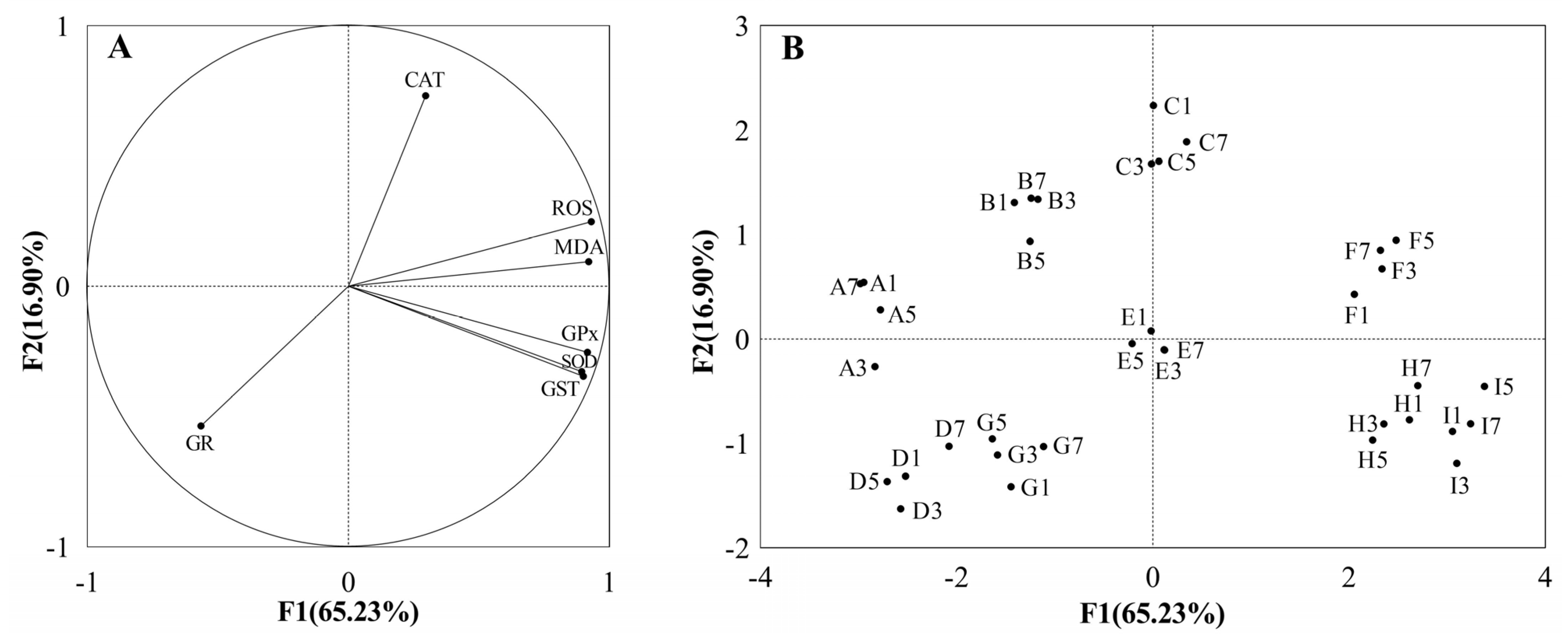 Antioxidants 12 01901 g004