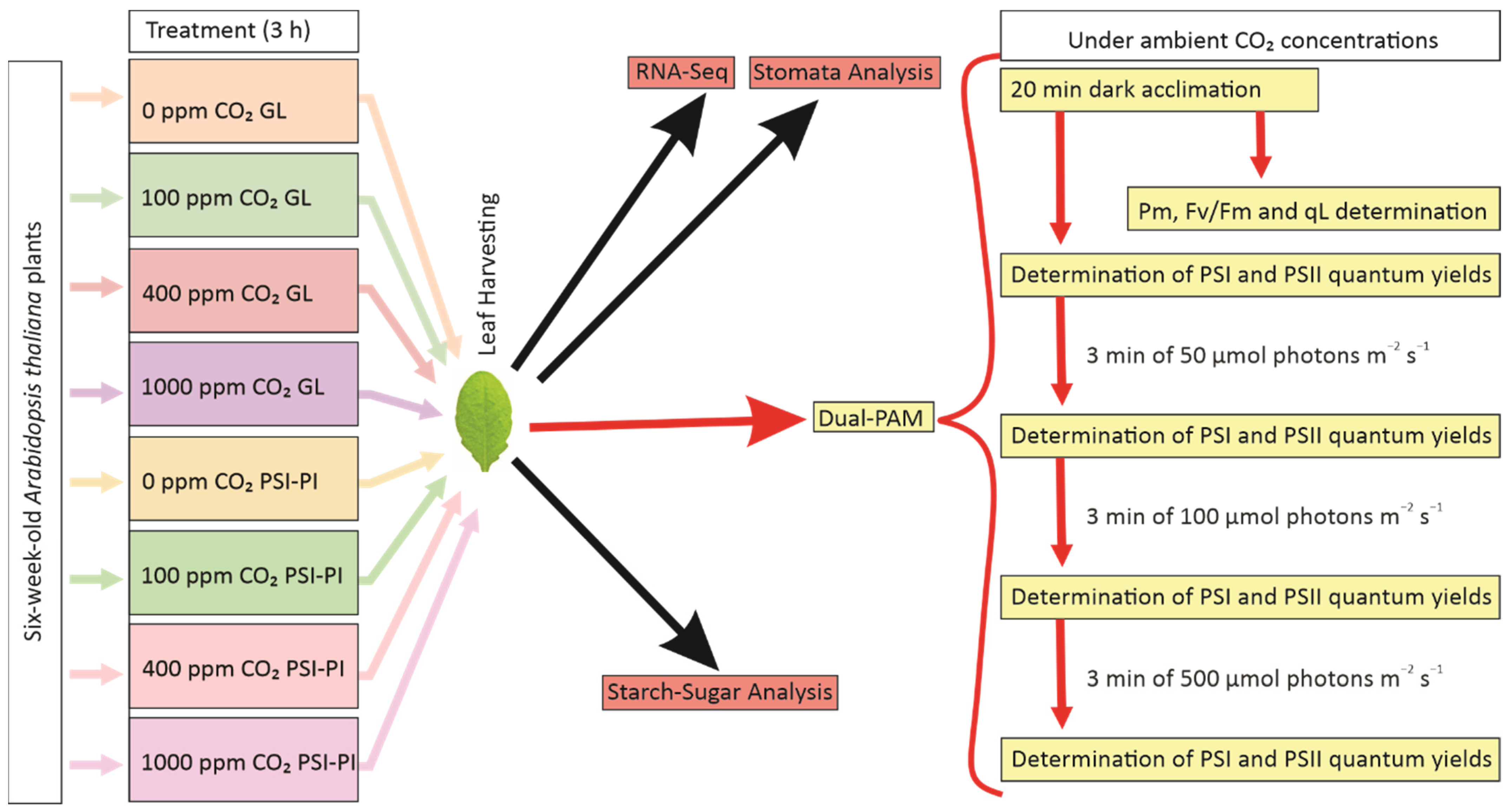 Antioxidants 12 01902 g001 Antioxidants 12 01902 g001