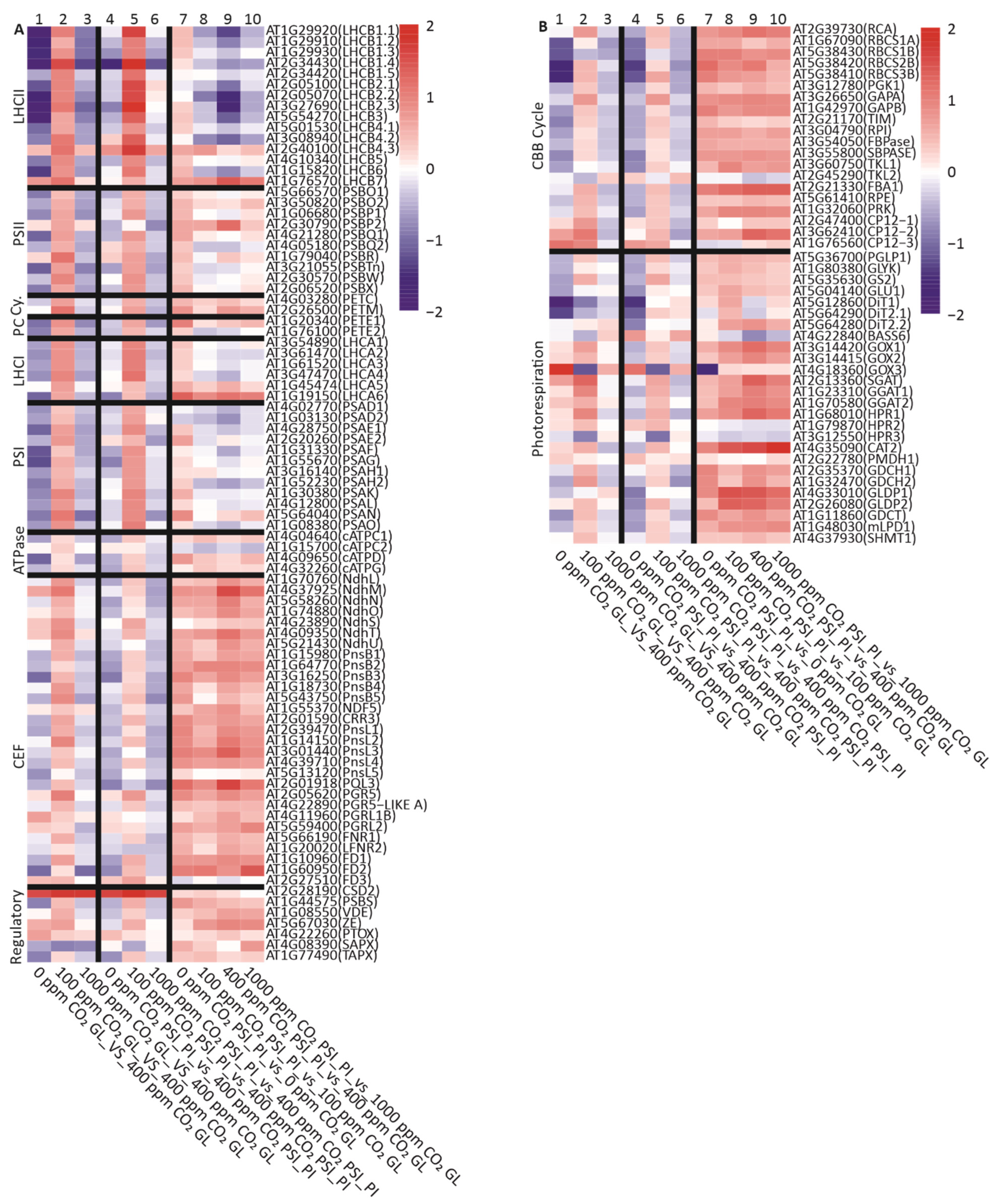 Antioxidants 12 01902 g006 Antioxidants 12 01902 g006