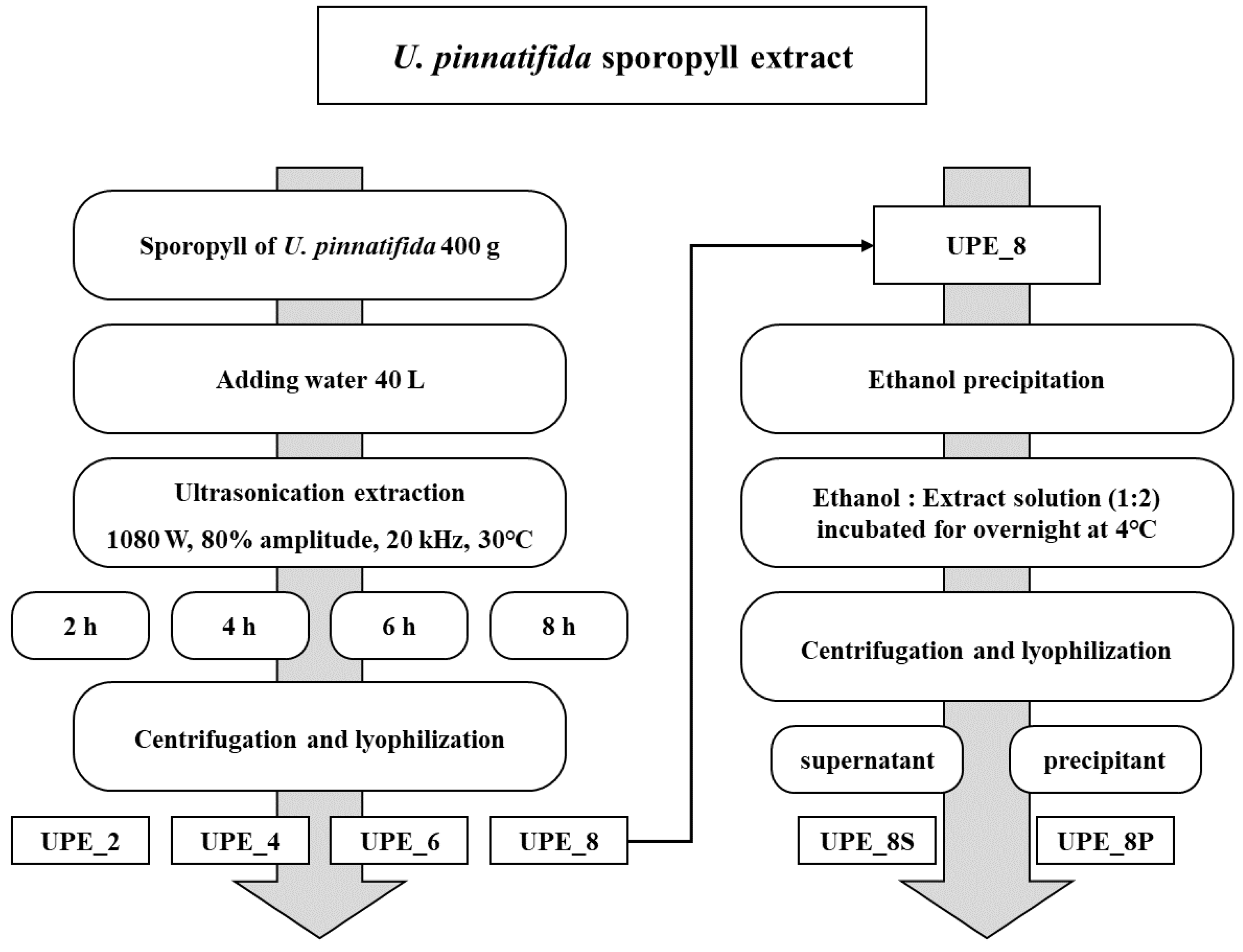 Antioxidants 12 01904 g001