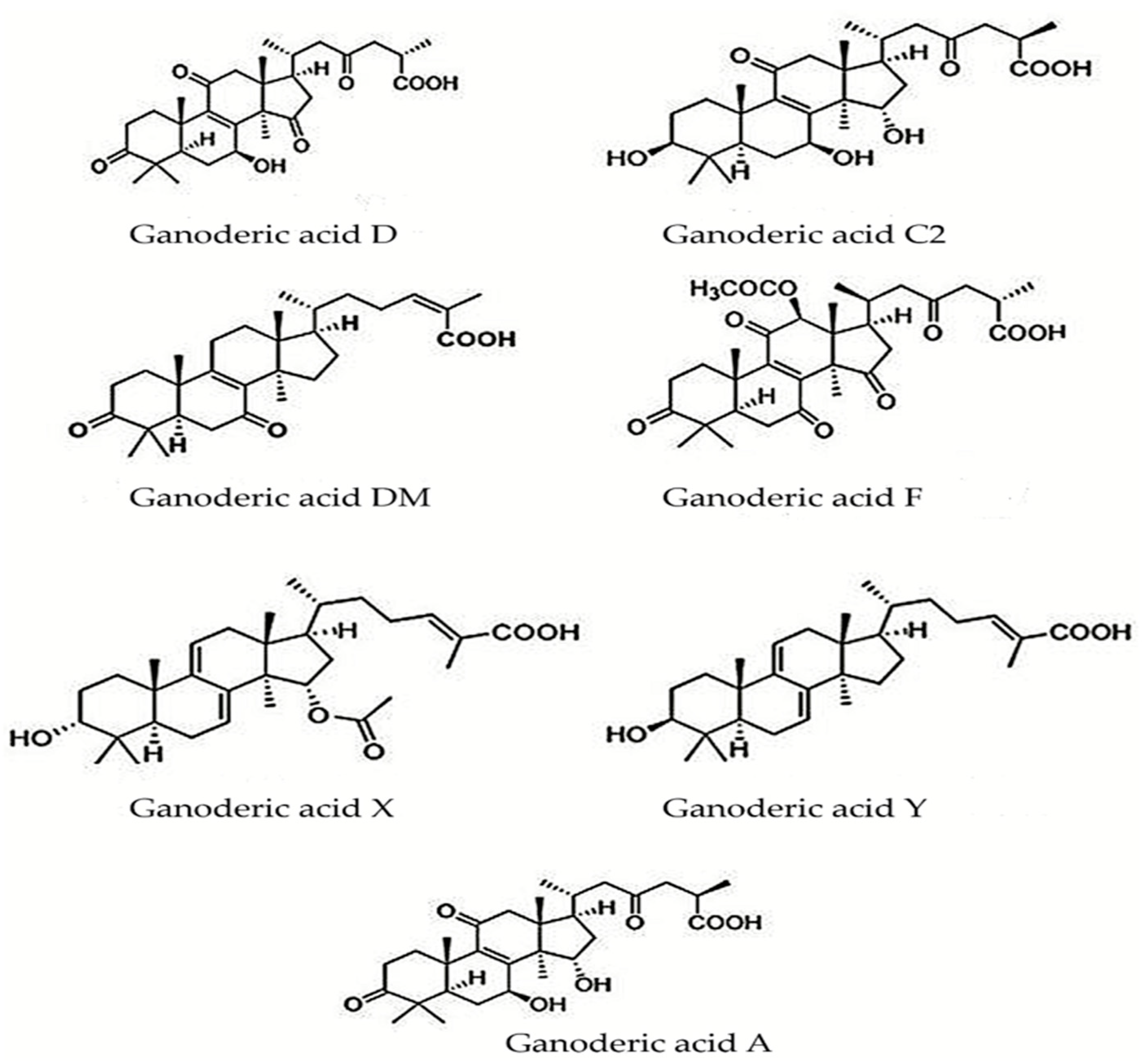 Antioxidants 12 01907 g007 Antioxidants 12 01907 g007